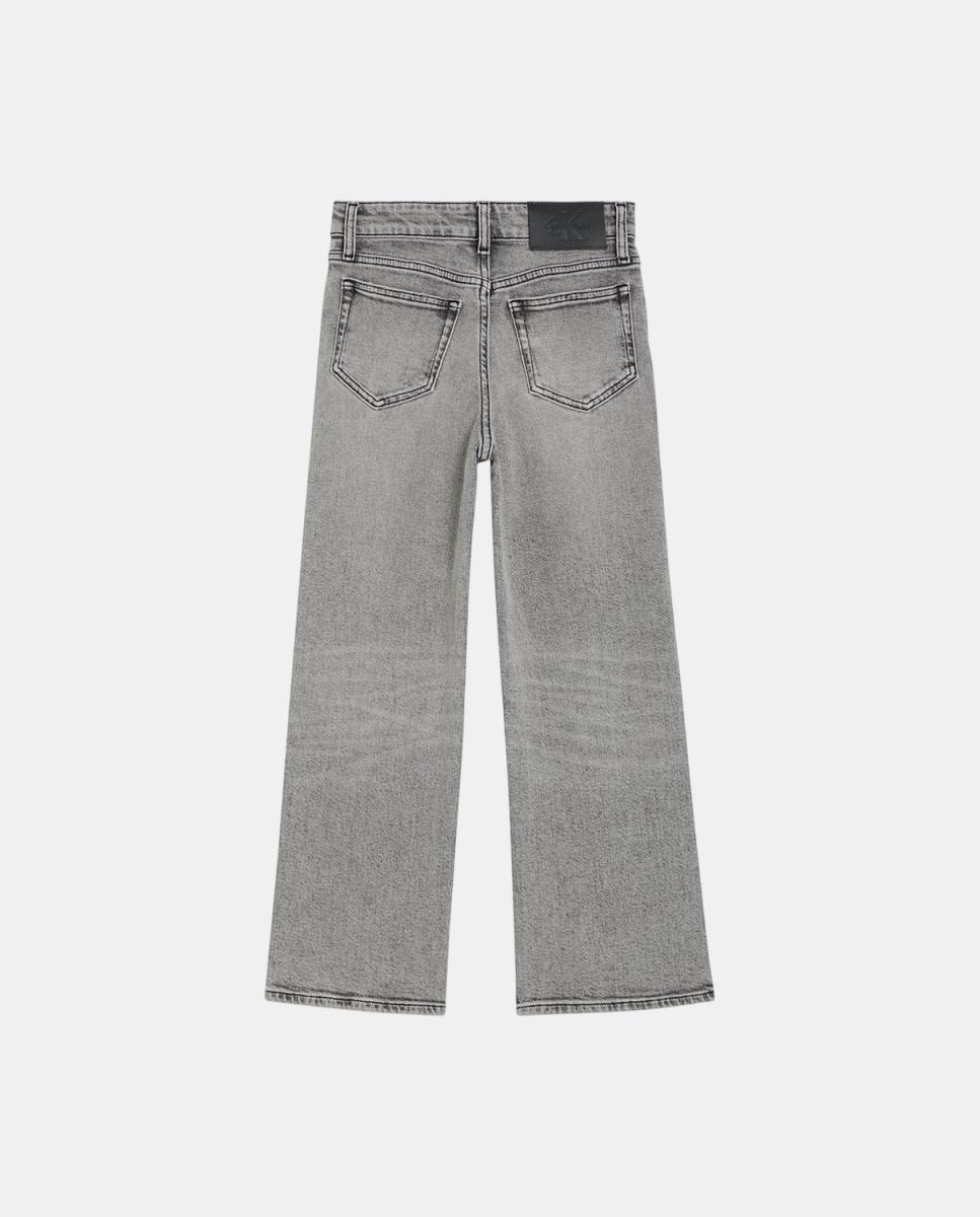 Jeans Skater Fit Cinzento-2