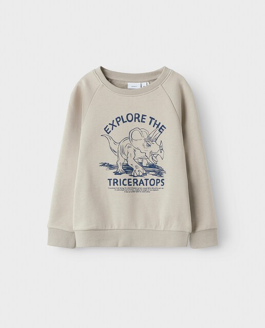 Imagem 0 de Sweatshirt de Felpa