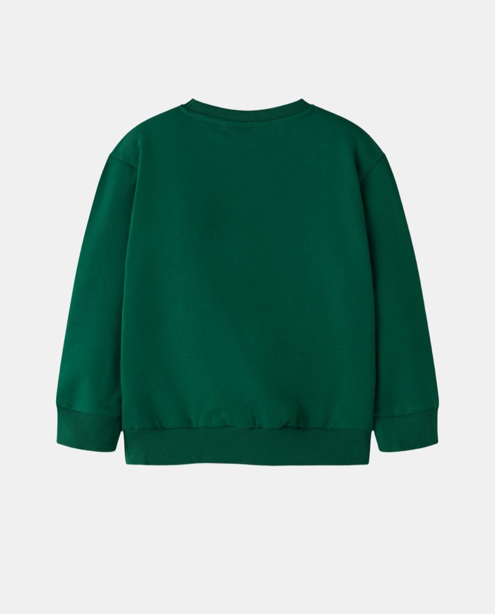 Sweatshirt com Dinossauros Verde-4