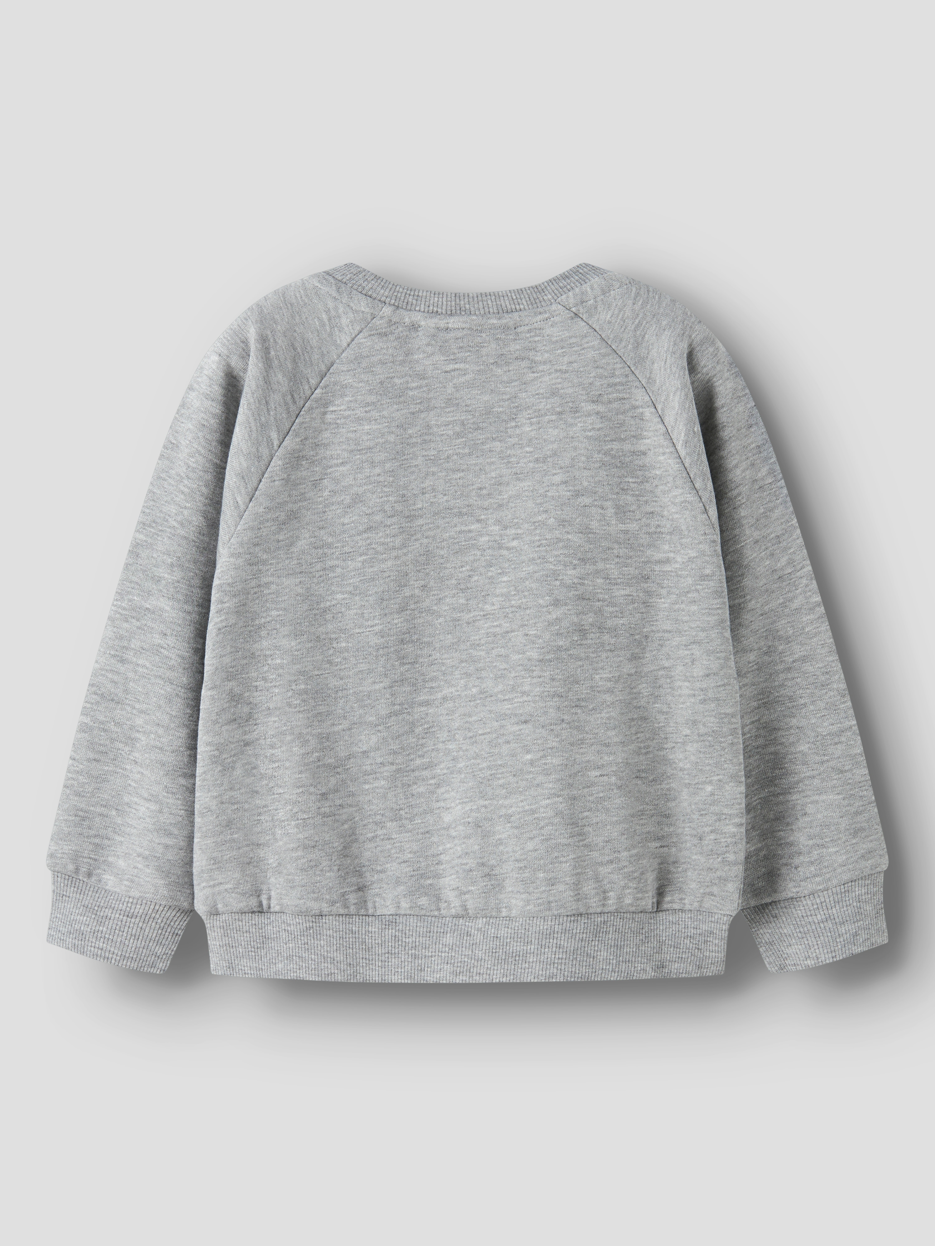 Sweatshirt com Estampado de Cisne Cinzento-2