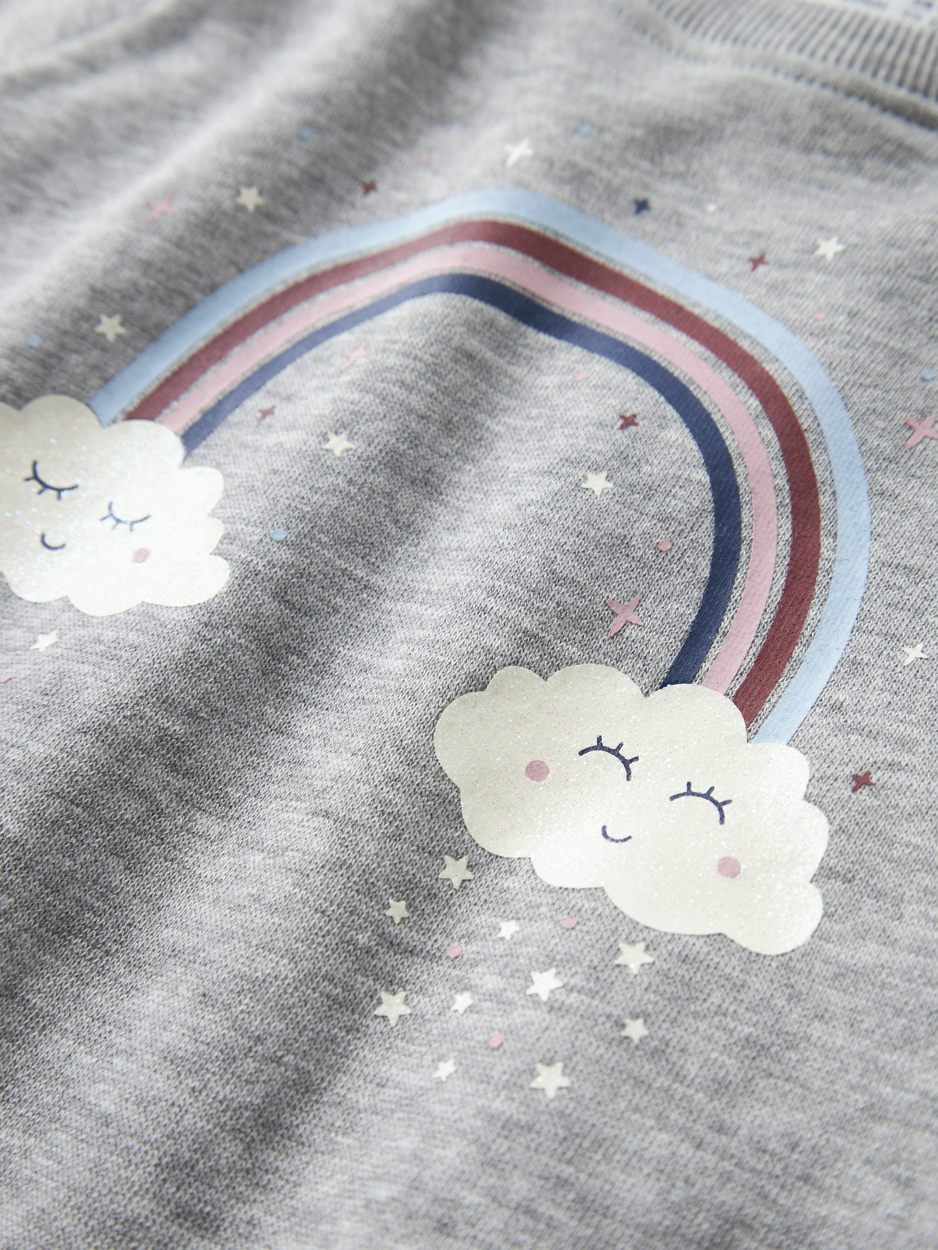 Sweatshirt com Estampado de Cisne Cinzento-3