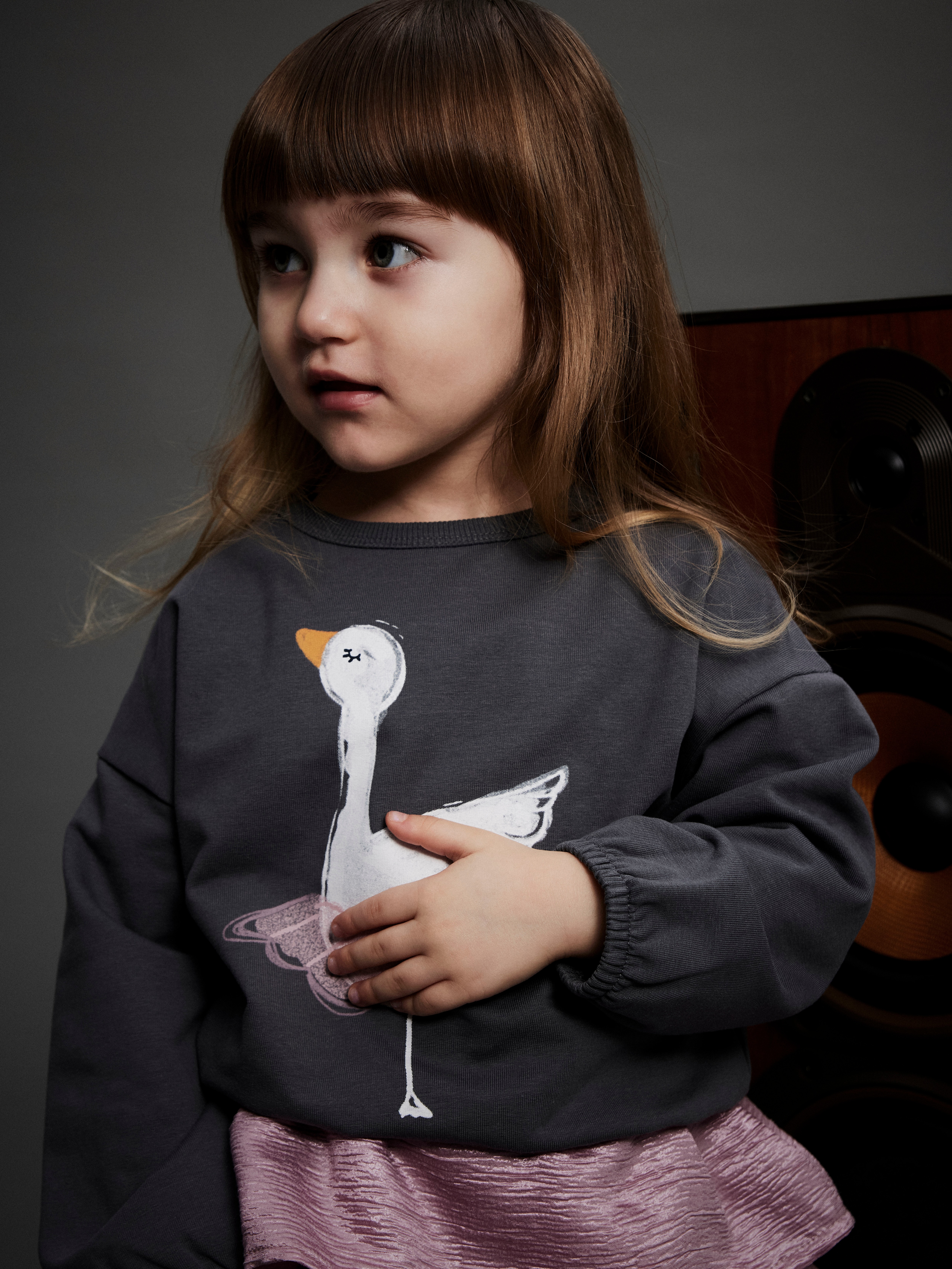 Imagem 0 de Sweatshirt com Motivo de Cisne Bailarina