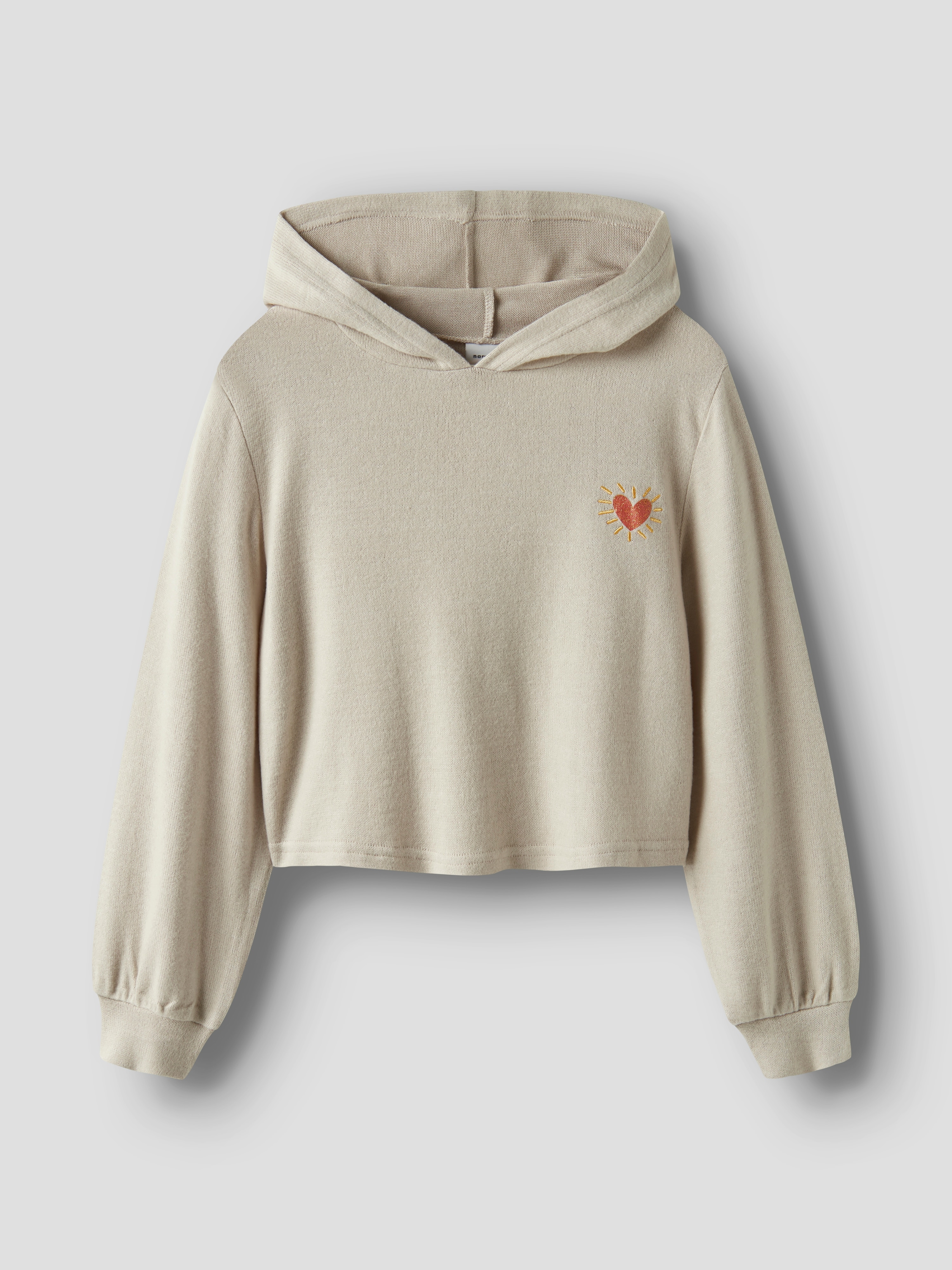 Imagem 0 de Sweatshirt de Jersey com Capuz
