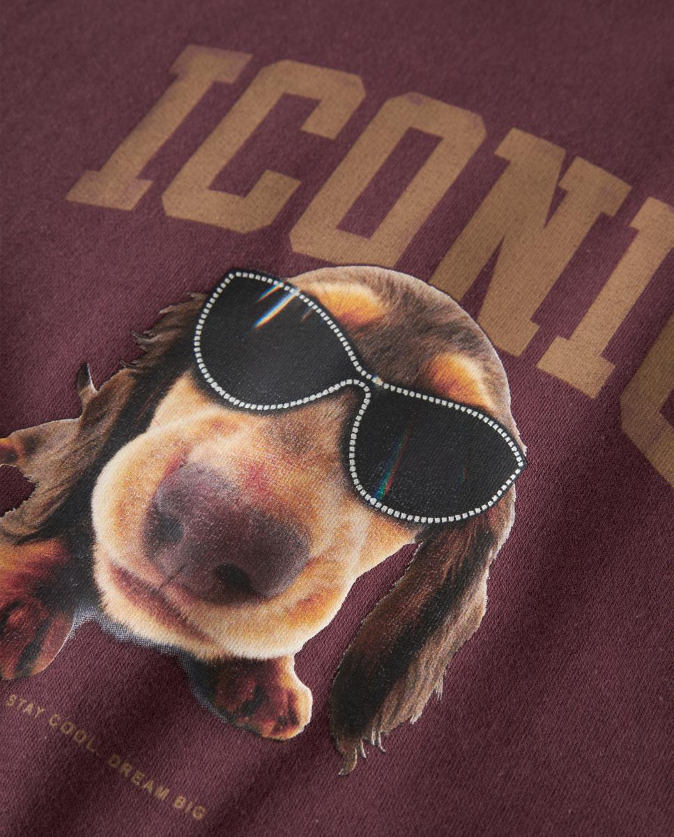 Sweatshirt de Cão Salsicha com Capuz Bordeaux-4