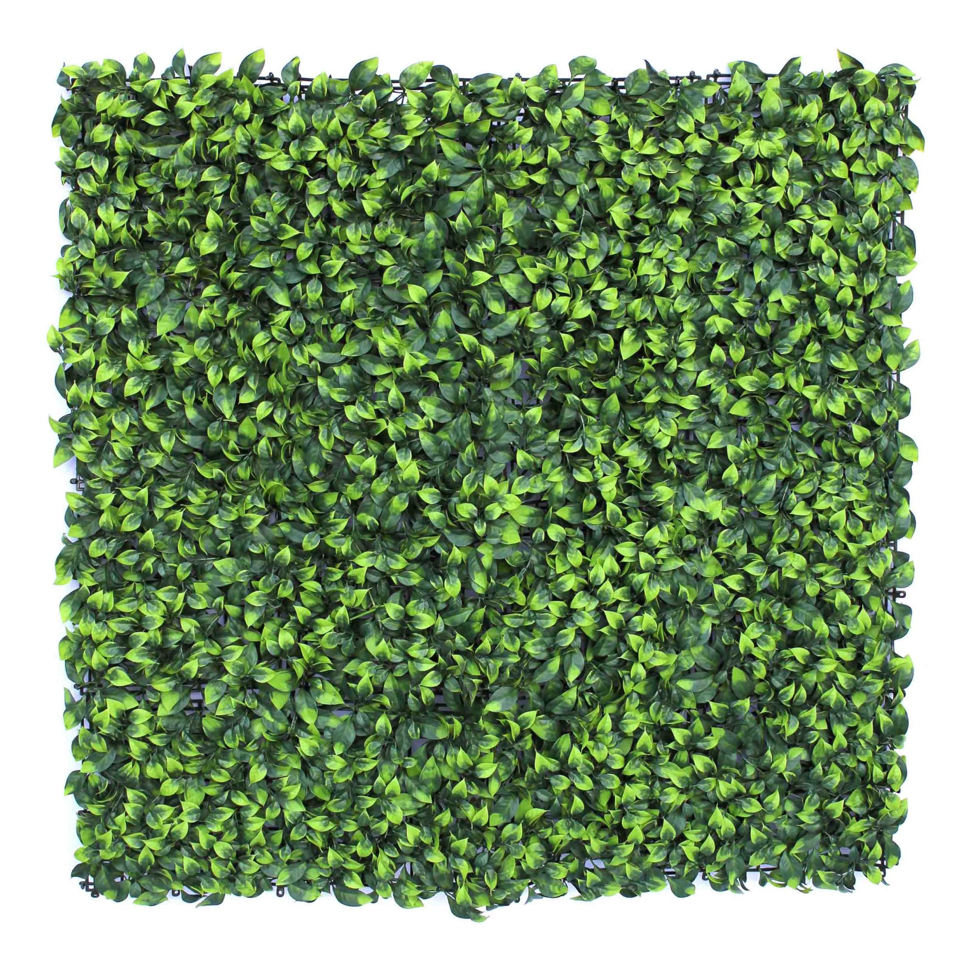 Imagen 0 de Jardín vertical Laurel 1x1 m