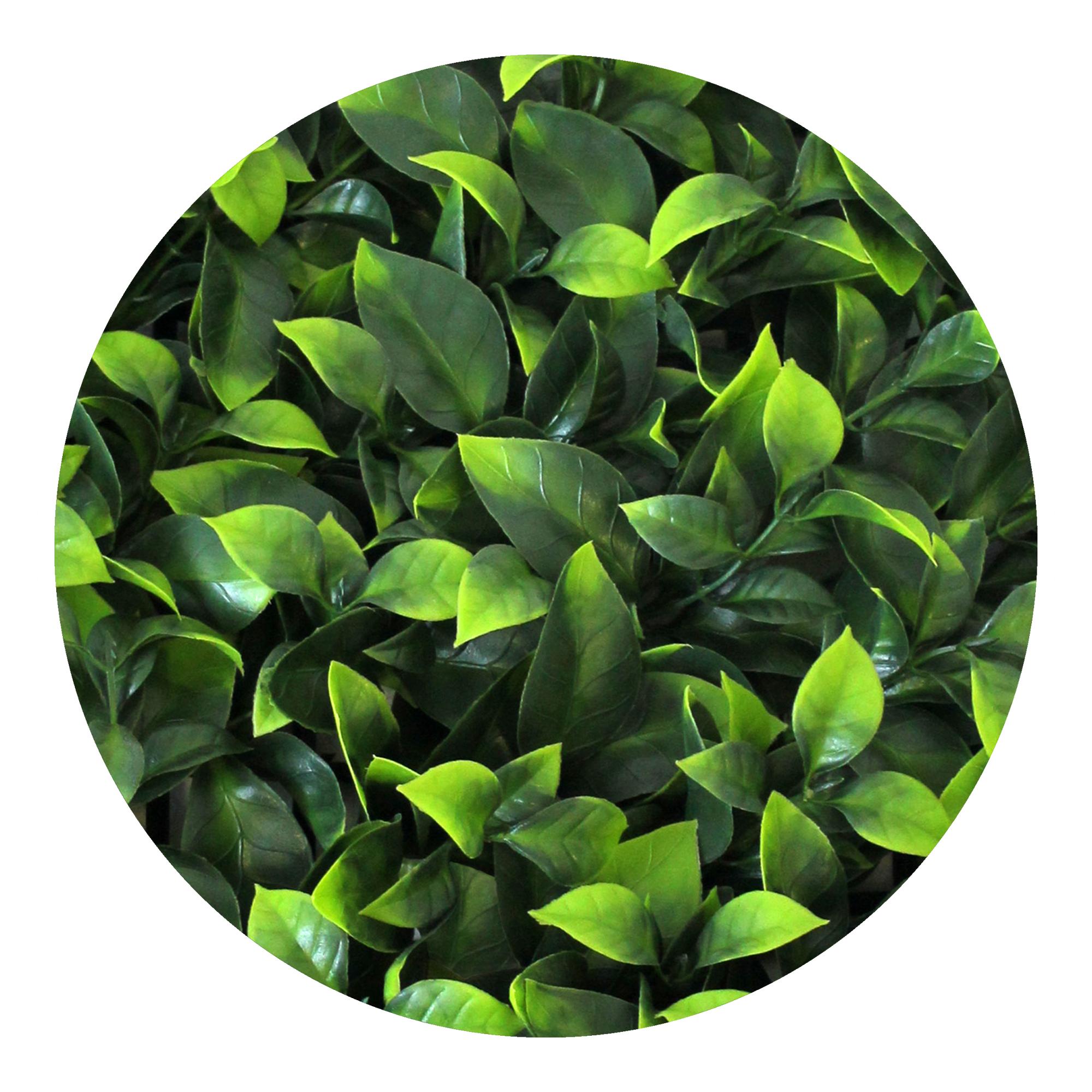 Jardim Vertical Laurel 1x1 m Verde-3