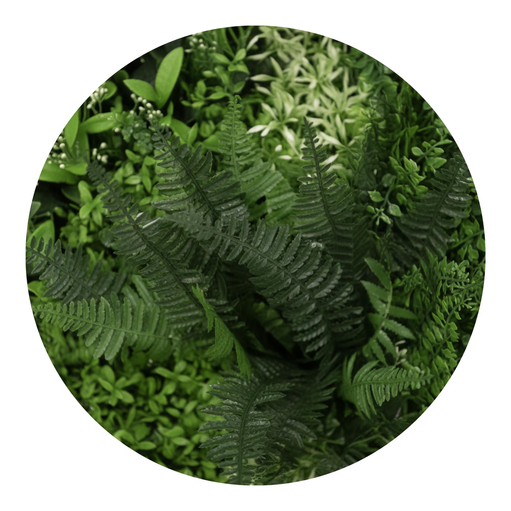 Jardim Vertical Gomera 1 x 1 m Verde-3