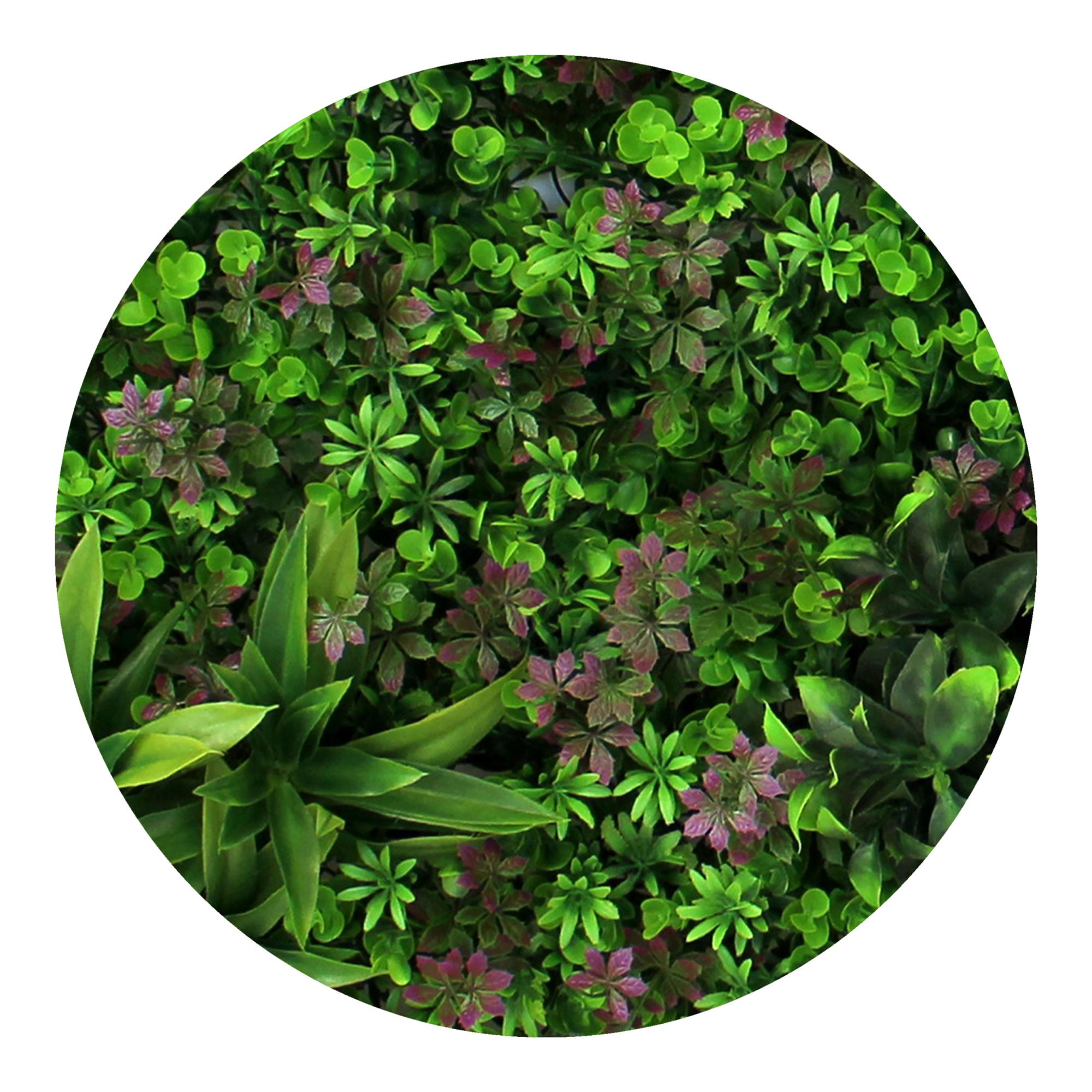 Jardim Vertical Elisse 1 x 1 m Verde-3