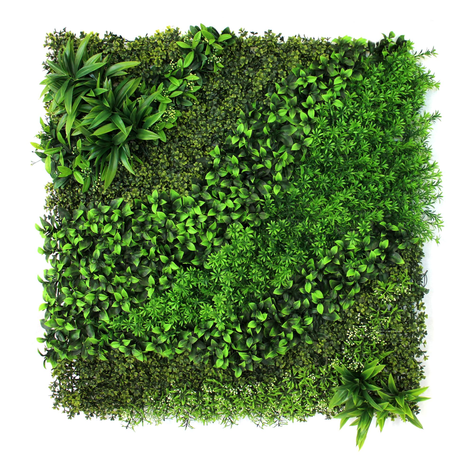 Imagen 0 de Jardín vertical Mysto Yaravi 1x1 m