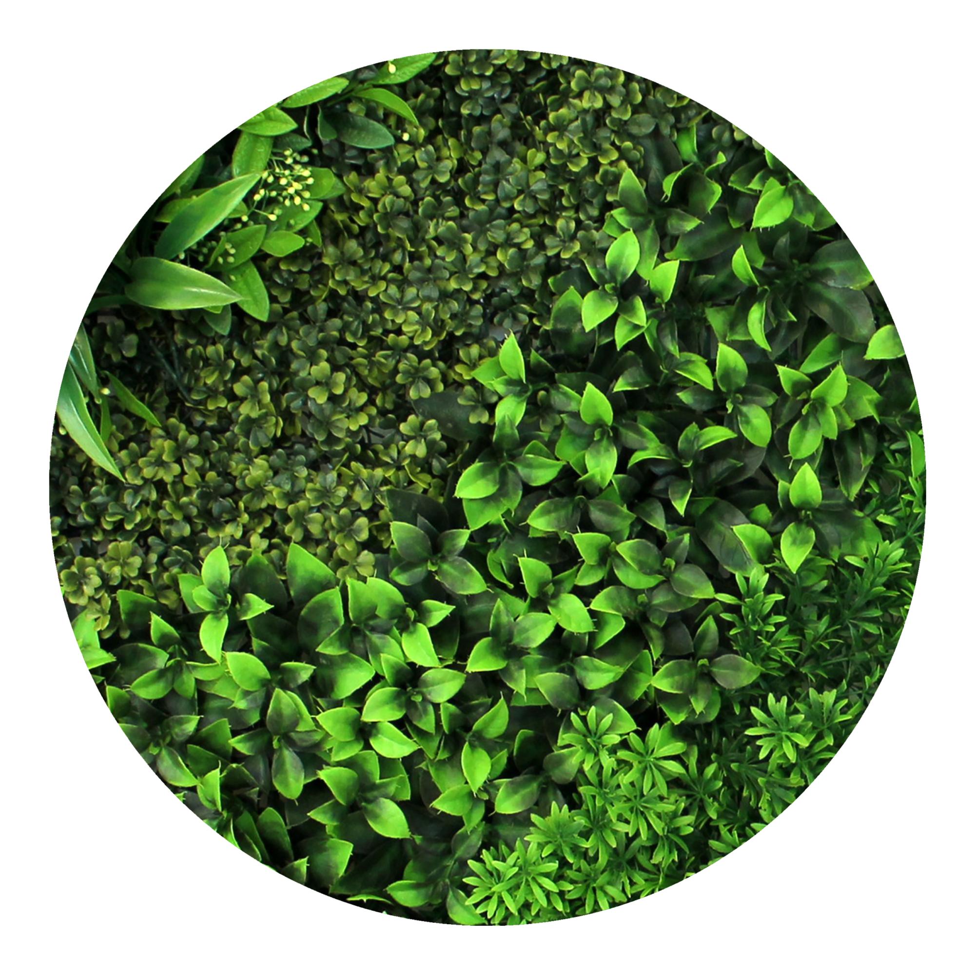 Jardim Vertical Mysto Yaravi 1x1 m Verde-3