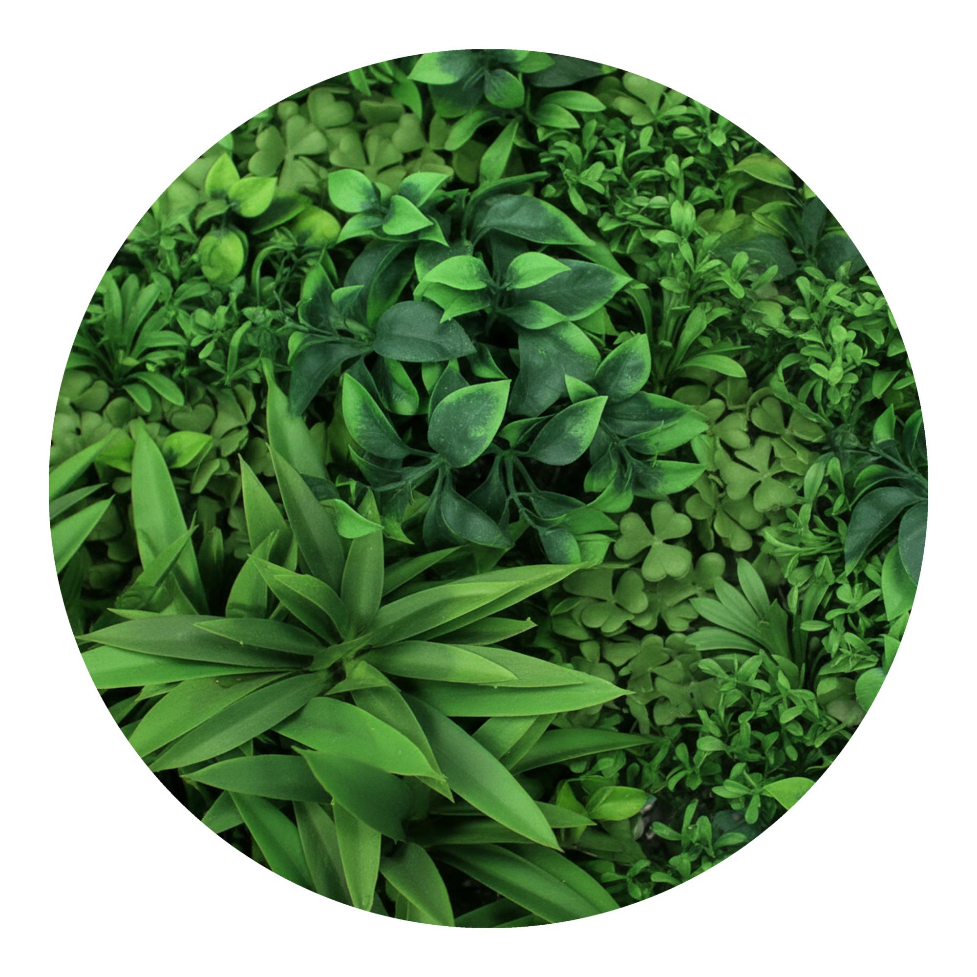 Jardim Vertical Tropical 1x1 m Verde-3