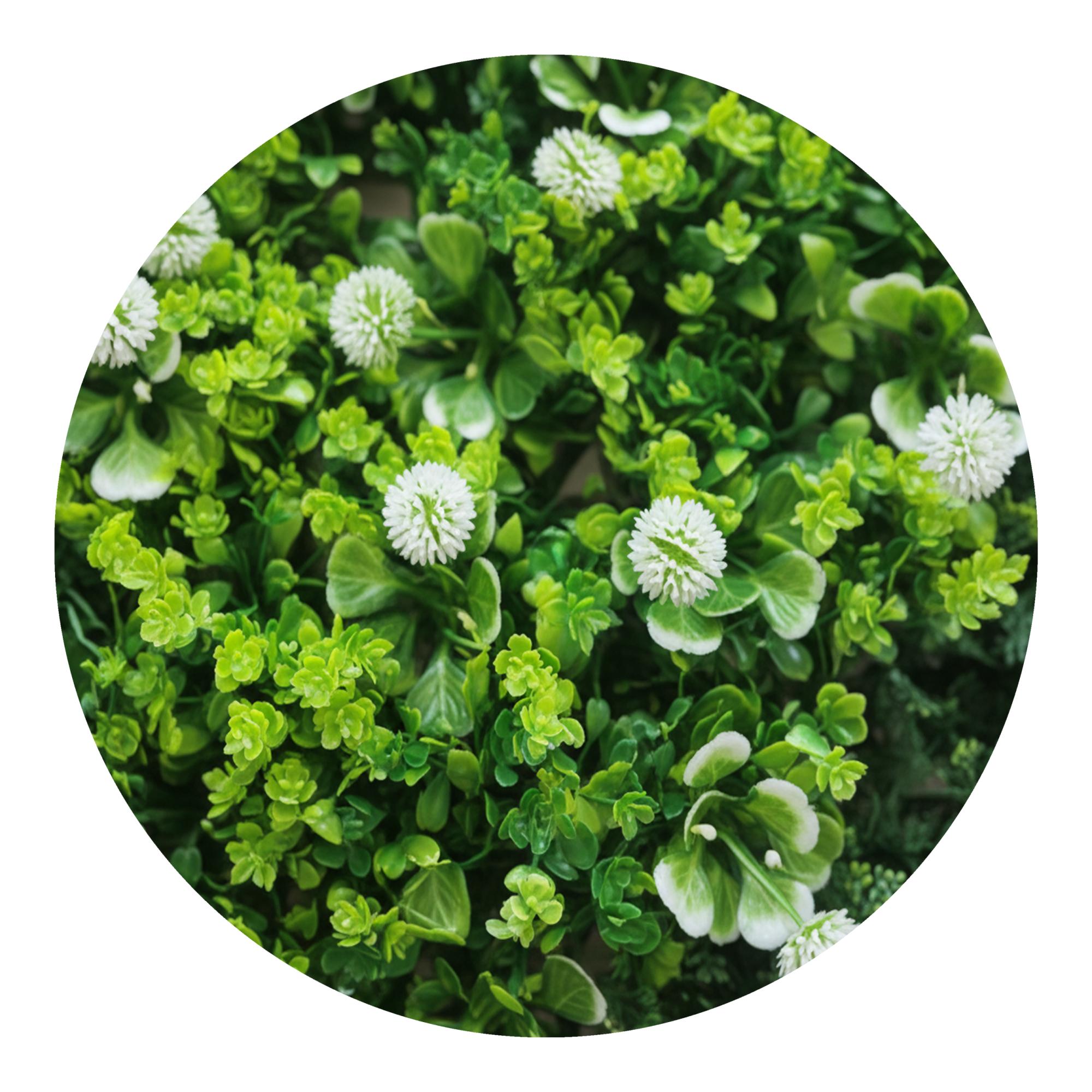Jardim Vertical Amadeus 1x1 m Verde-3