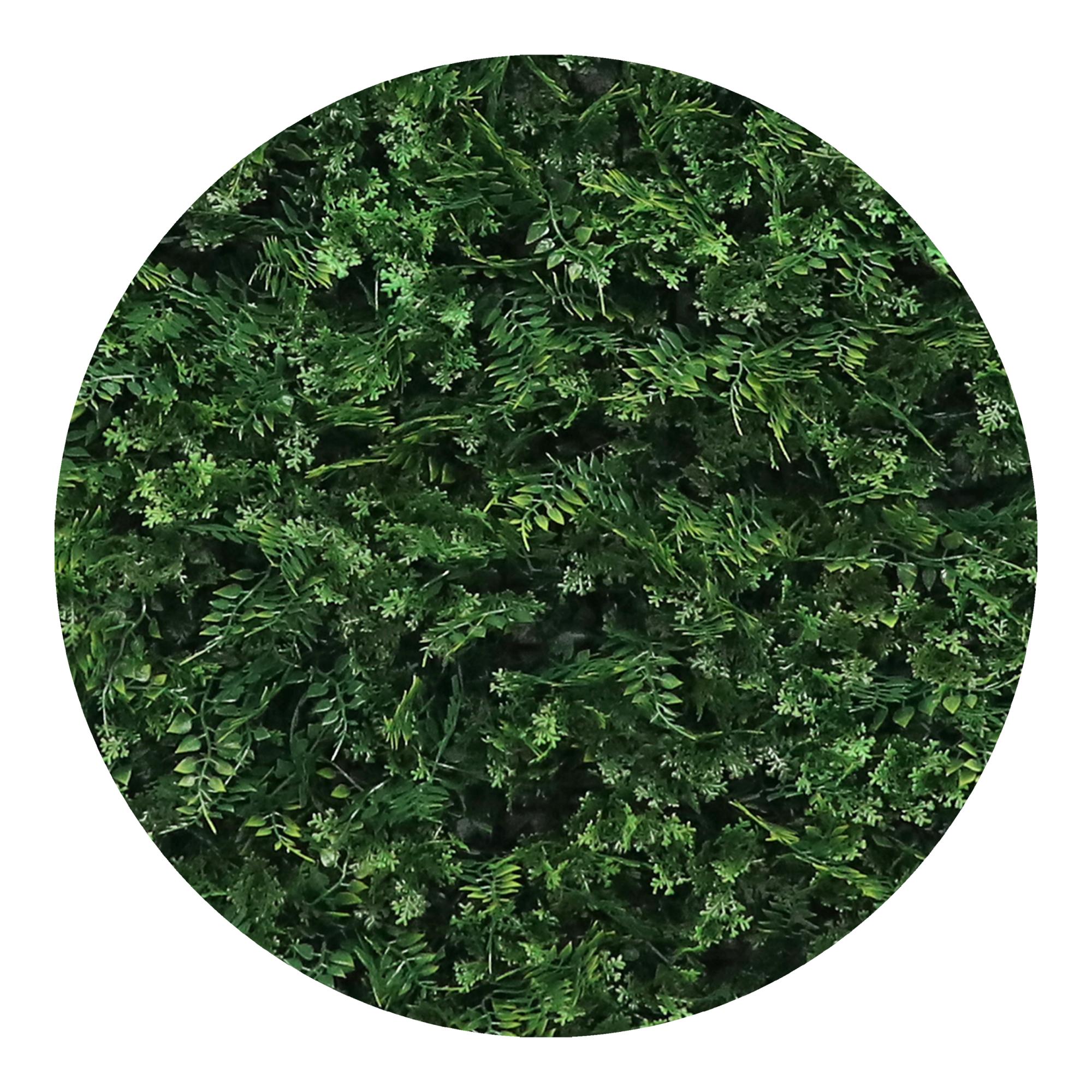 Jardim Vertical "Feto Pirenéus" 1 x 1 m Verde-4