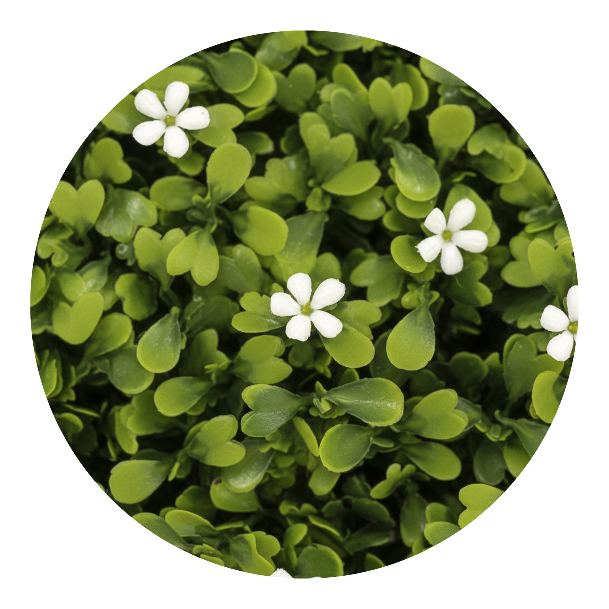 Jardim Vertical de Buxo com 80 Flores 1 x 1 m Verde-3
