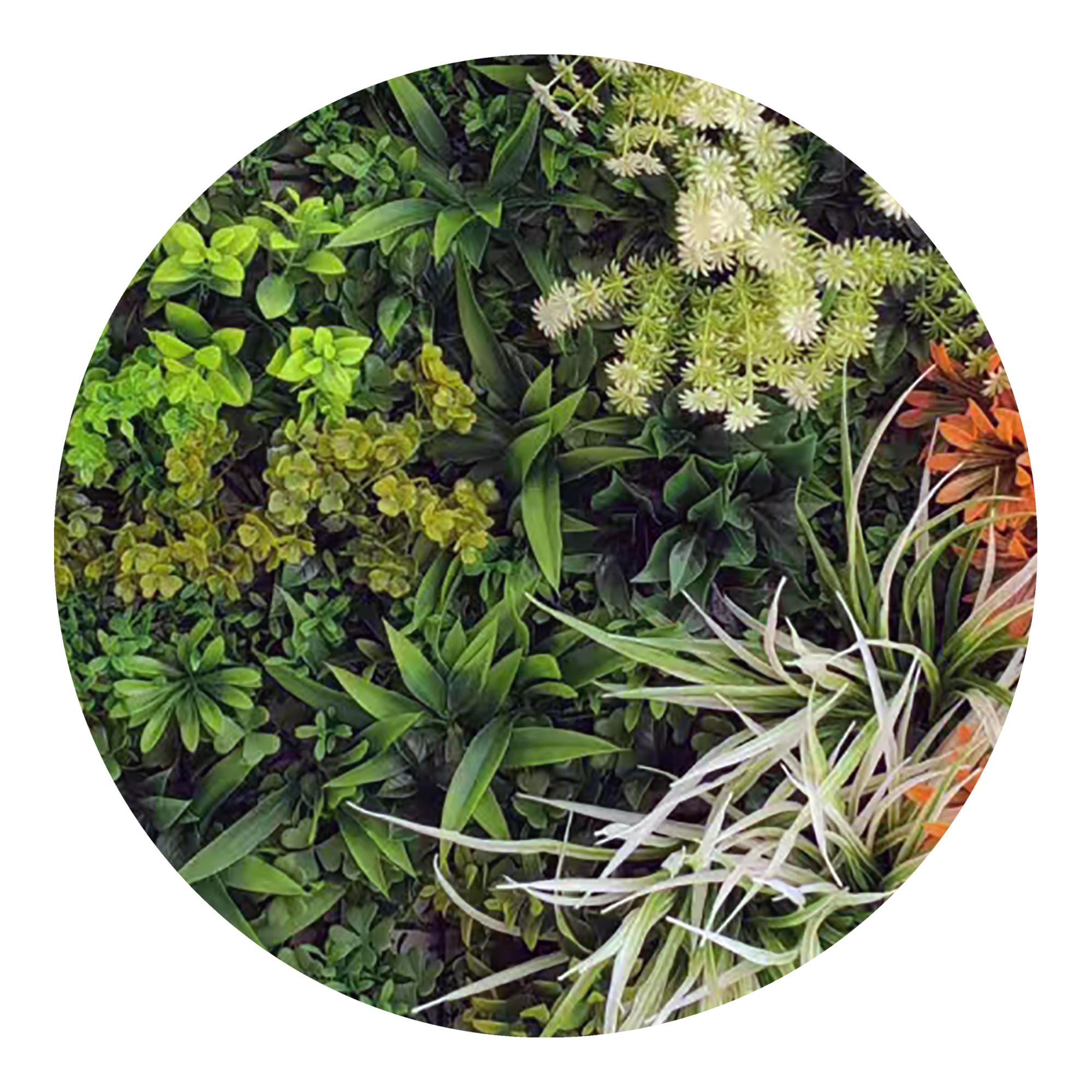 Jardim Vertical Ocana 1x1 m Verde-3