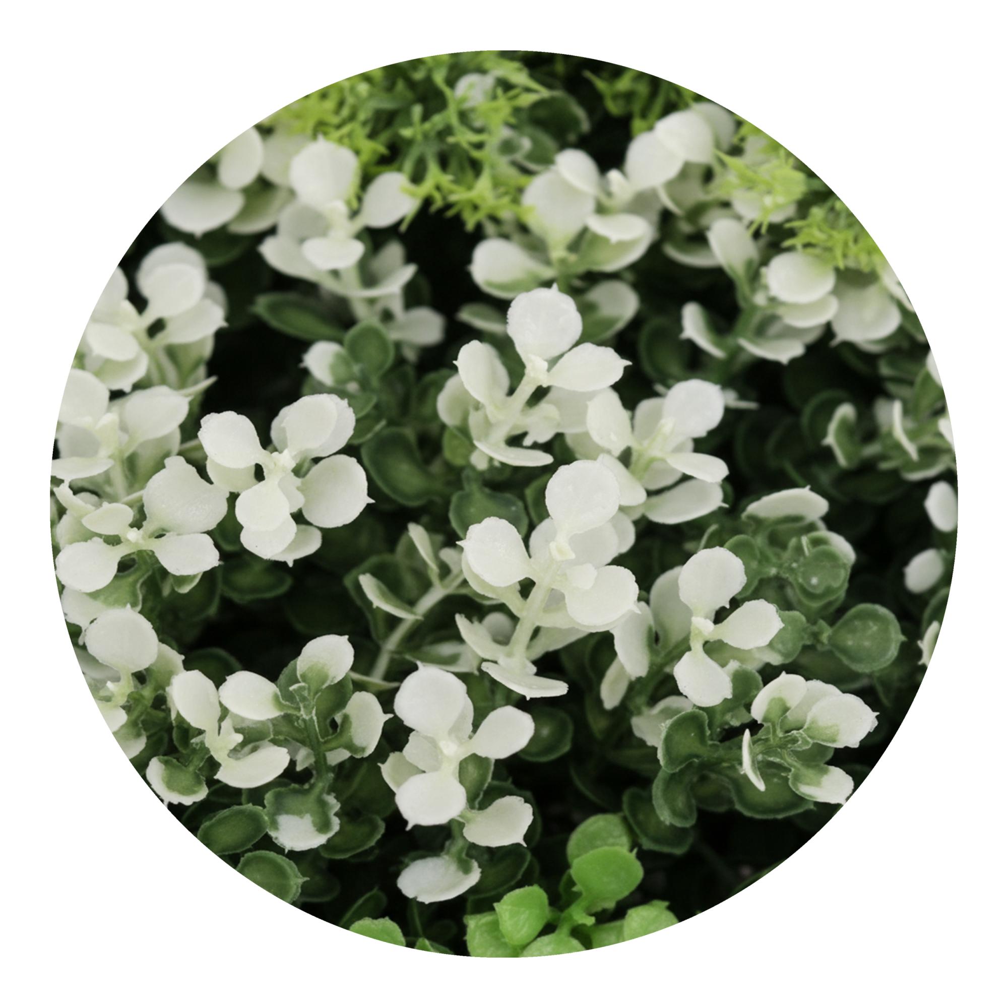 Jardim Vertical Odisseia 1x1 m Verde-3