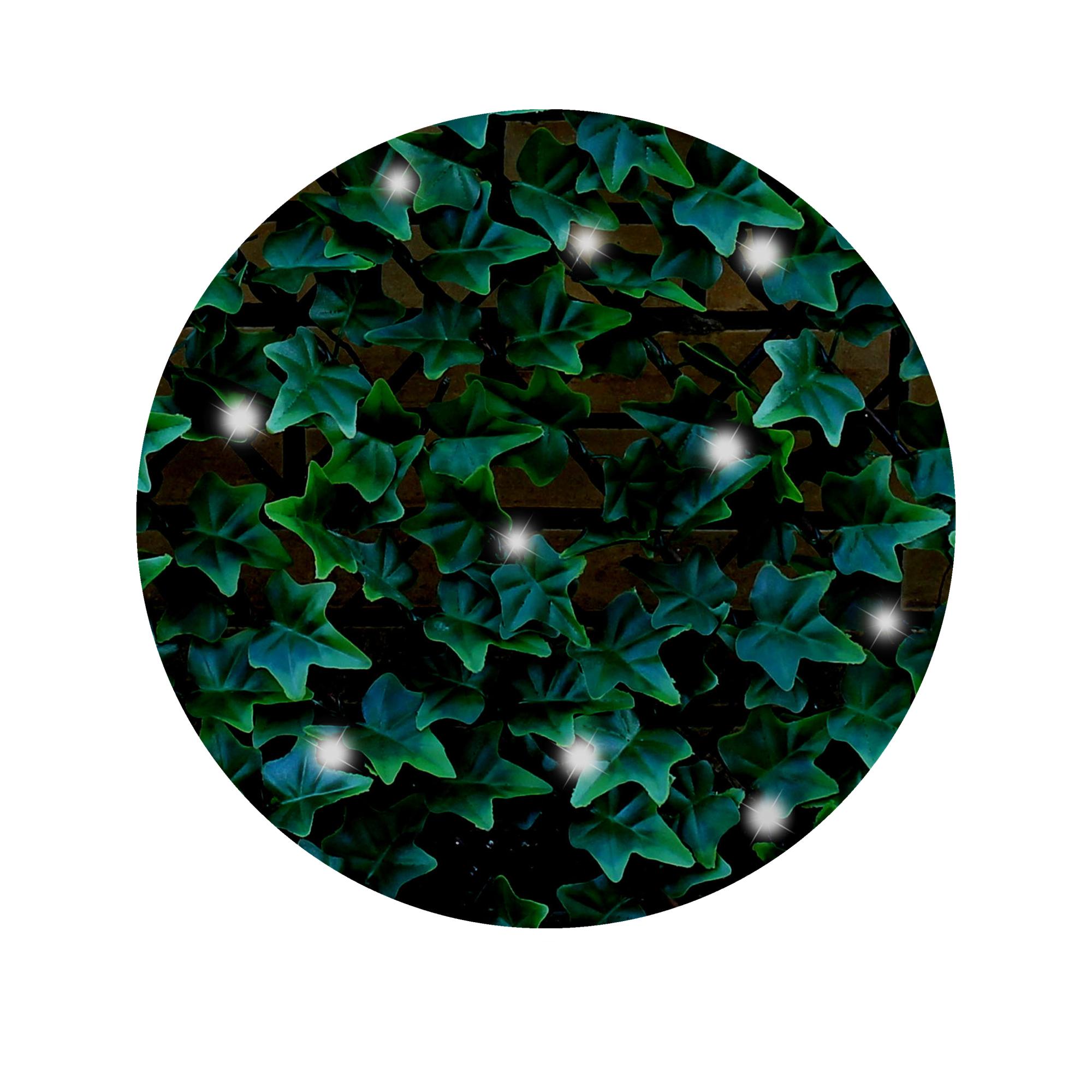 Celosía extensible hiedra con luces LED 1.50 X 1 m Sinder Verde-4
