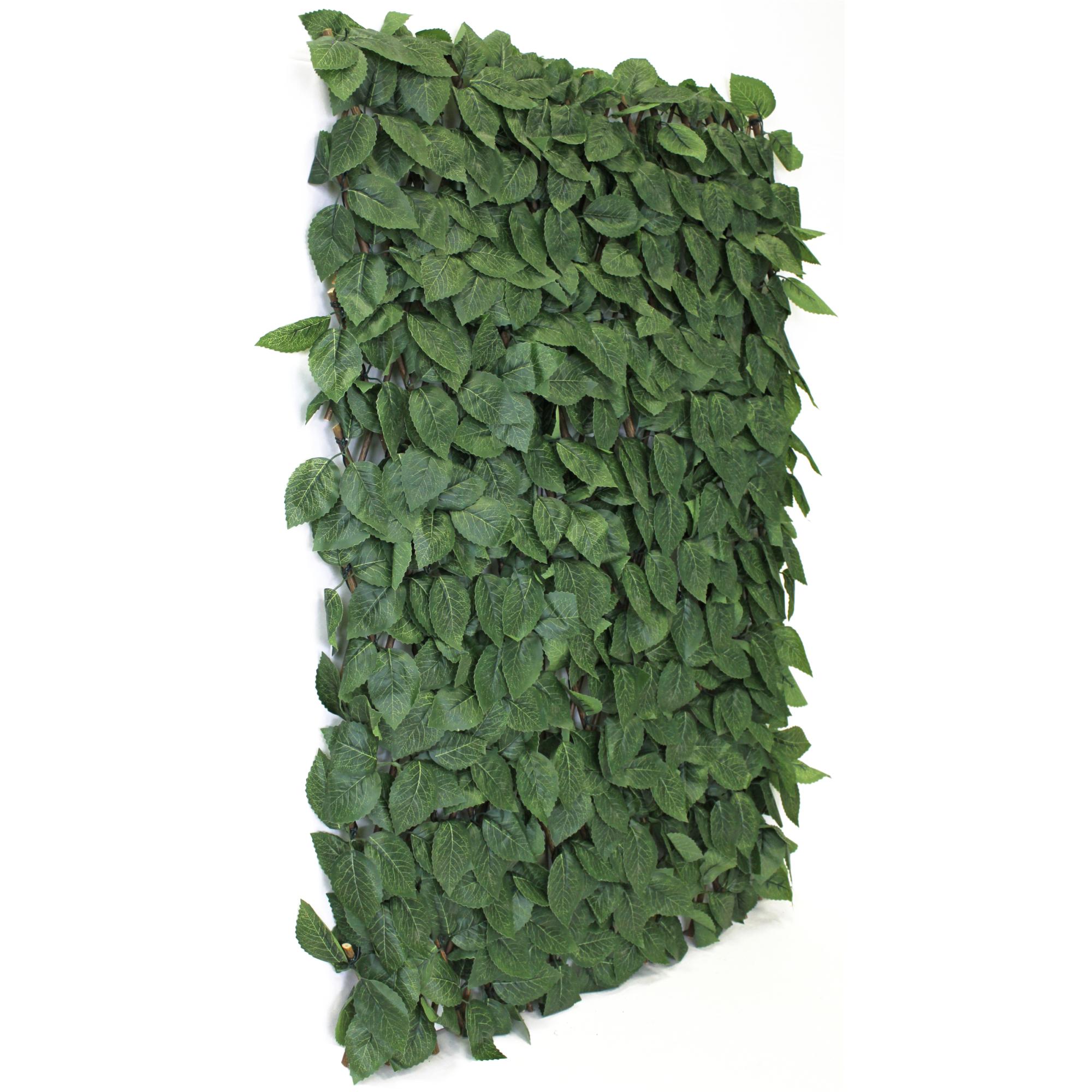 Imagen 0 de Celosía extensible rosal  1.50 X 1 m Sinder