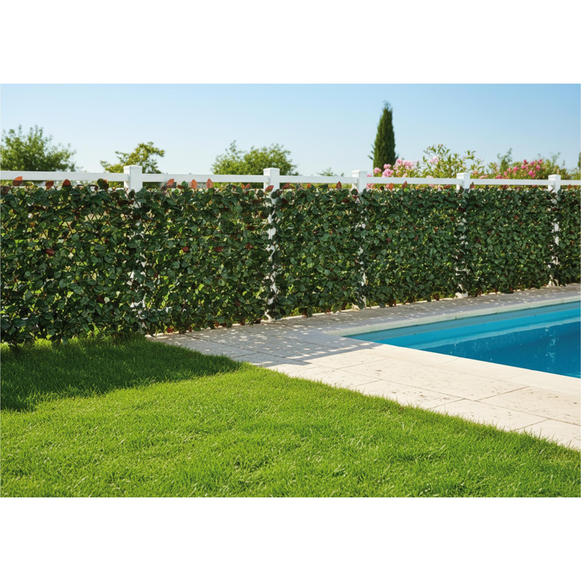 Celosía extensible haya 1.50 X 1 m Sinder Verde-4