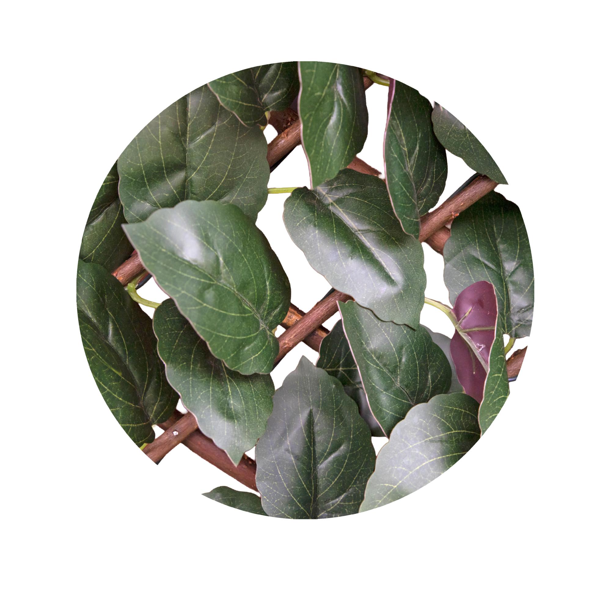 Celosía extensible haya 1.50 X 1 m Sinder Verde-5