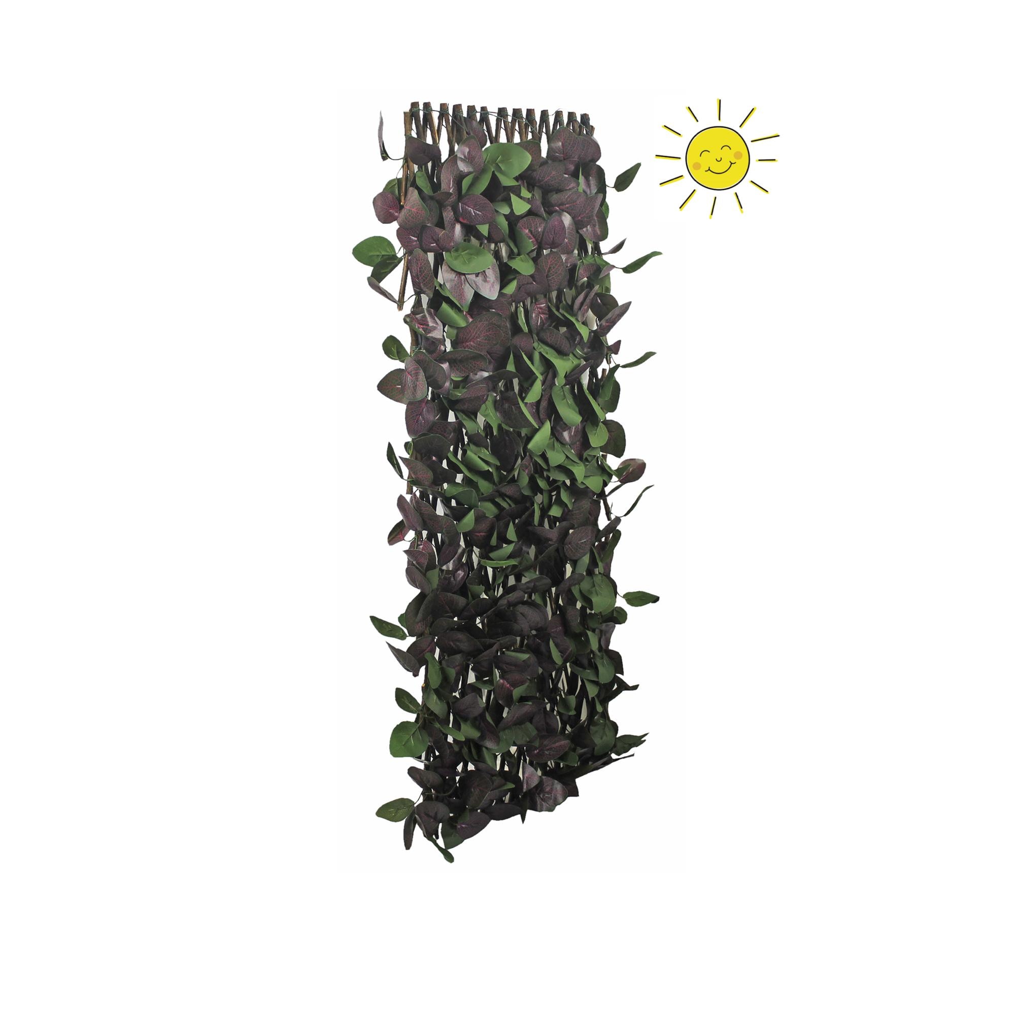 Imagen 0 de Celosía extensible fitonia 1.50 X 1 m Sinder