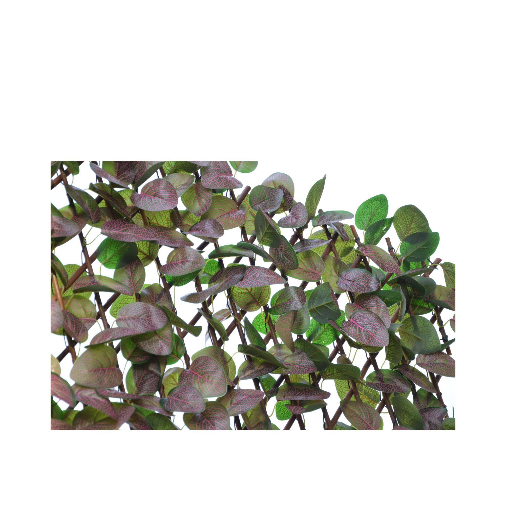 Celosía extensible fitonia 1.50 X 1 m Sinder Verde-2