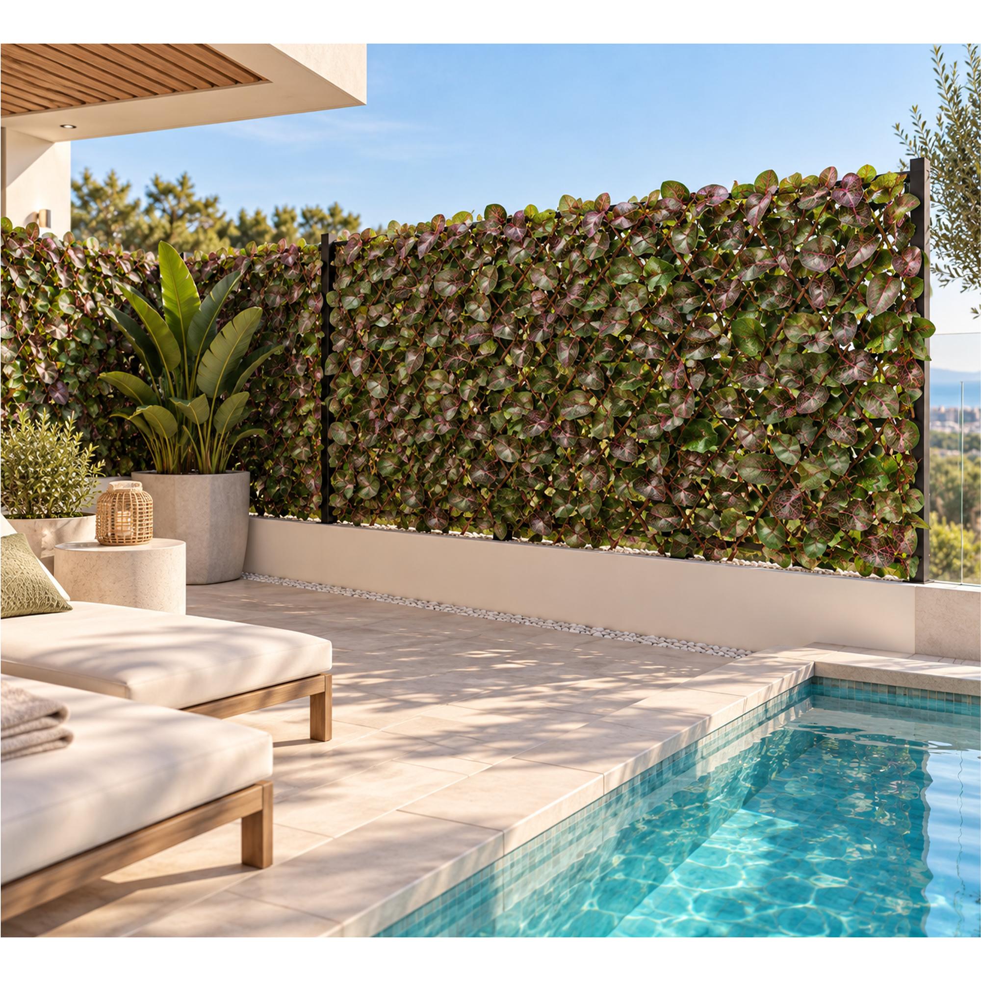 Celosía extensible fitonia 1.50 X 1 m Sinder Verde-3