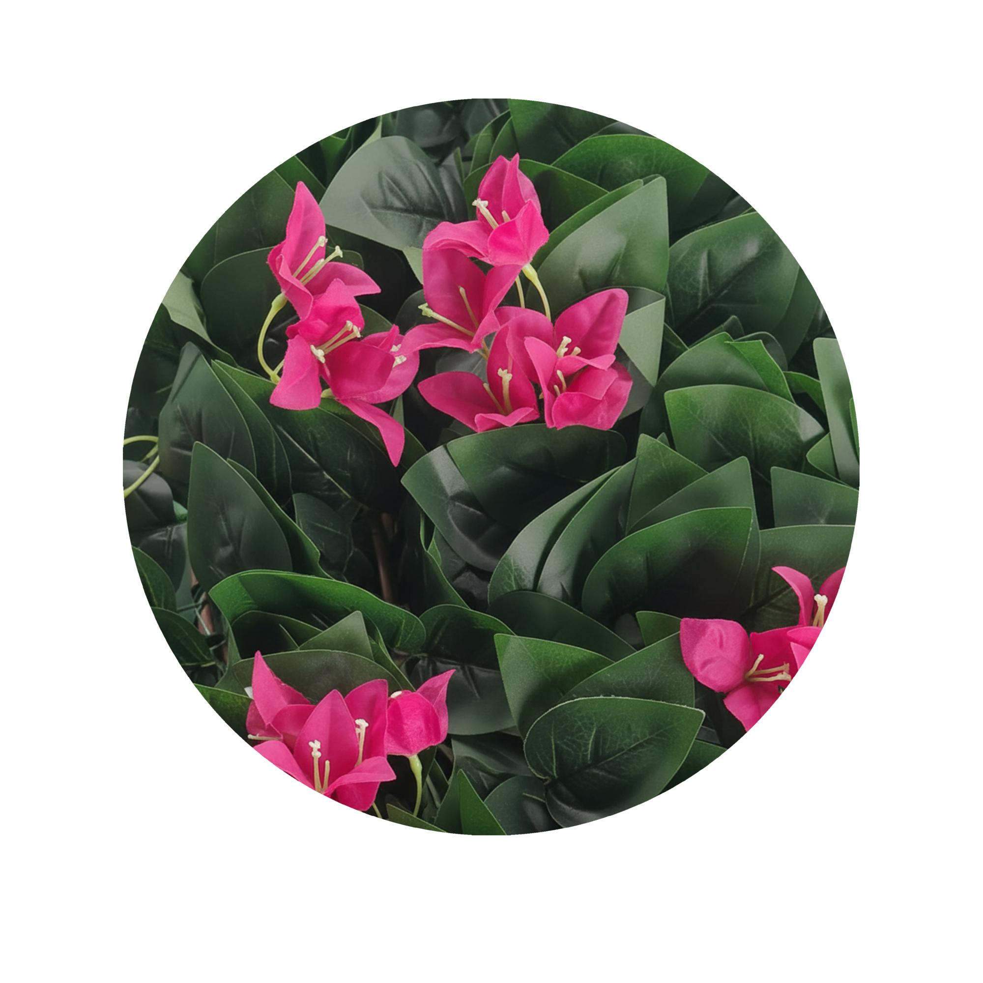 Celosía extensible bouganvilla 1.50 X 1 m Sinder Verde-4