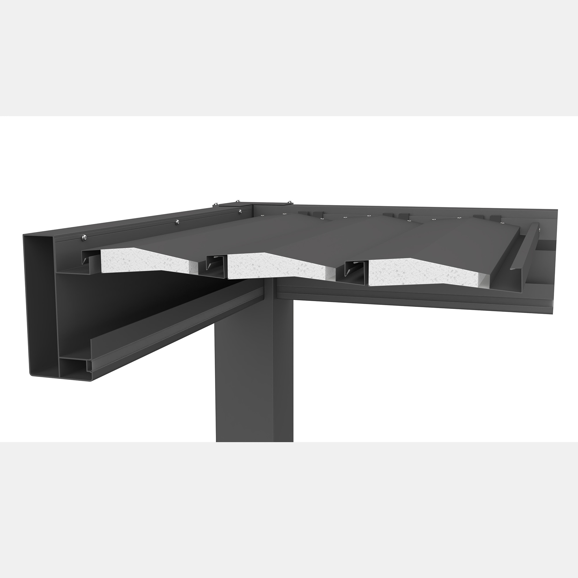 Pérgola Biohort 3x3 Gris oscuro metálico con equipamiento básico Gris-9