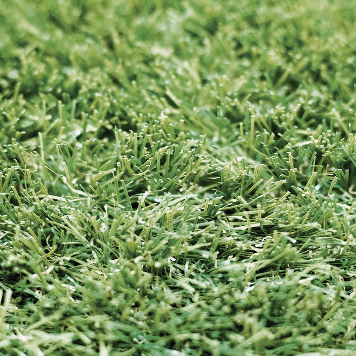 Imagen 0 de Césped New Piazza X-Tra S30 2x10M Nortene