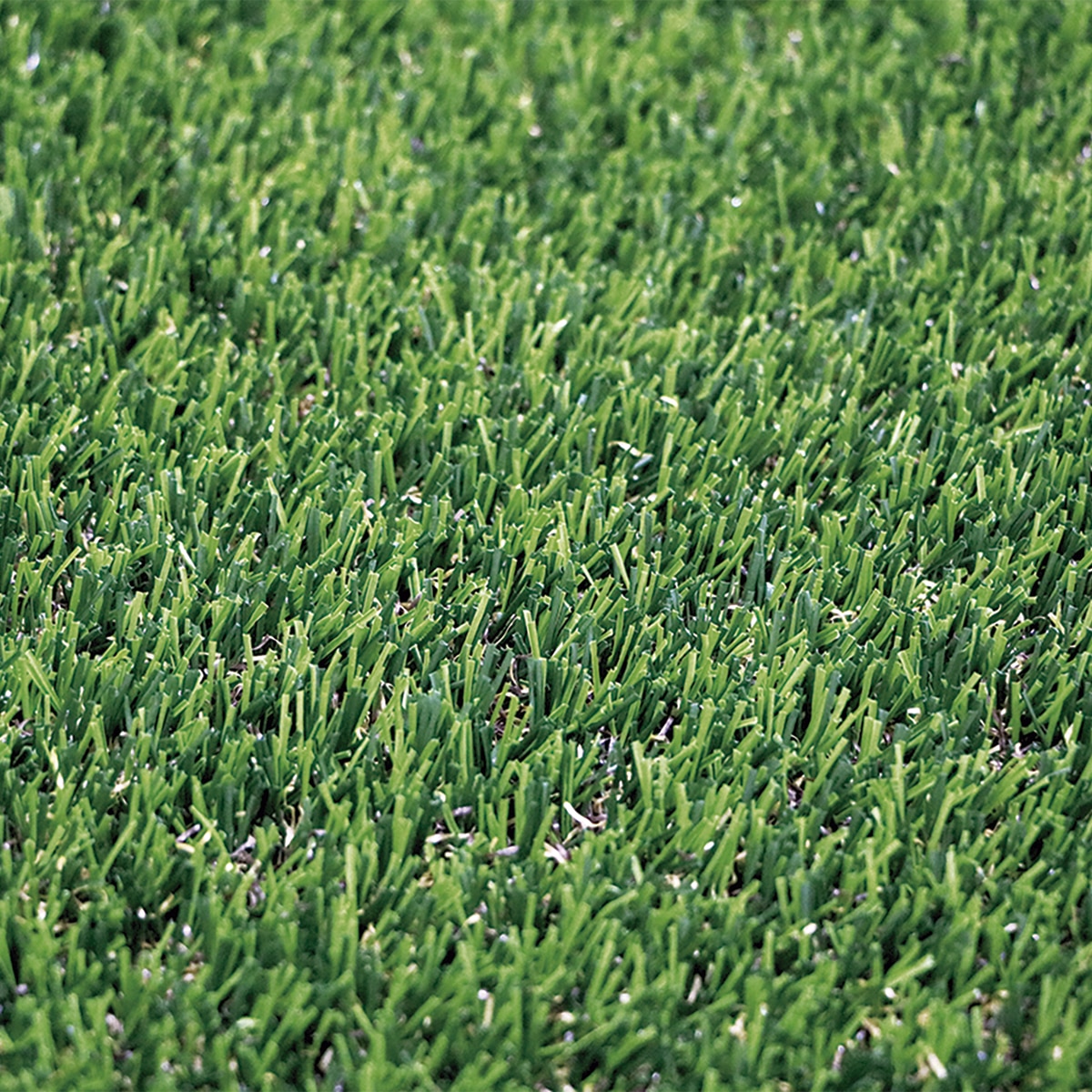 Imagen 0 de Césped Denia X-TRA S20 2X4M Nortene