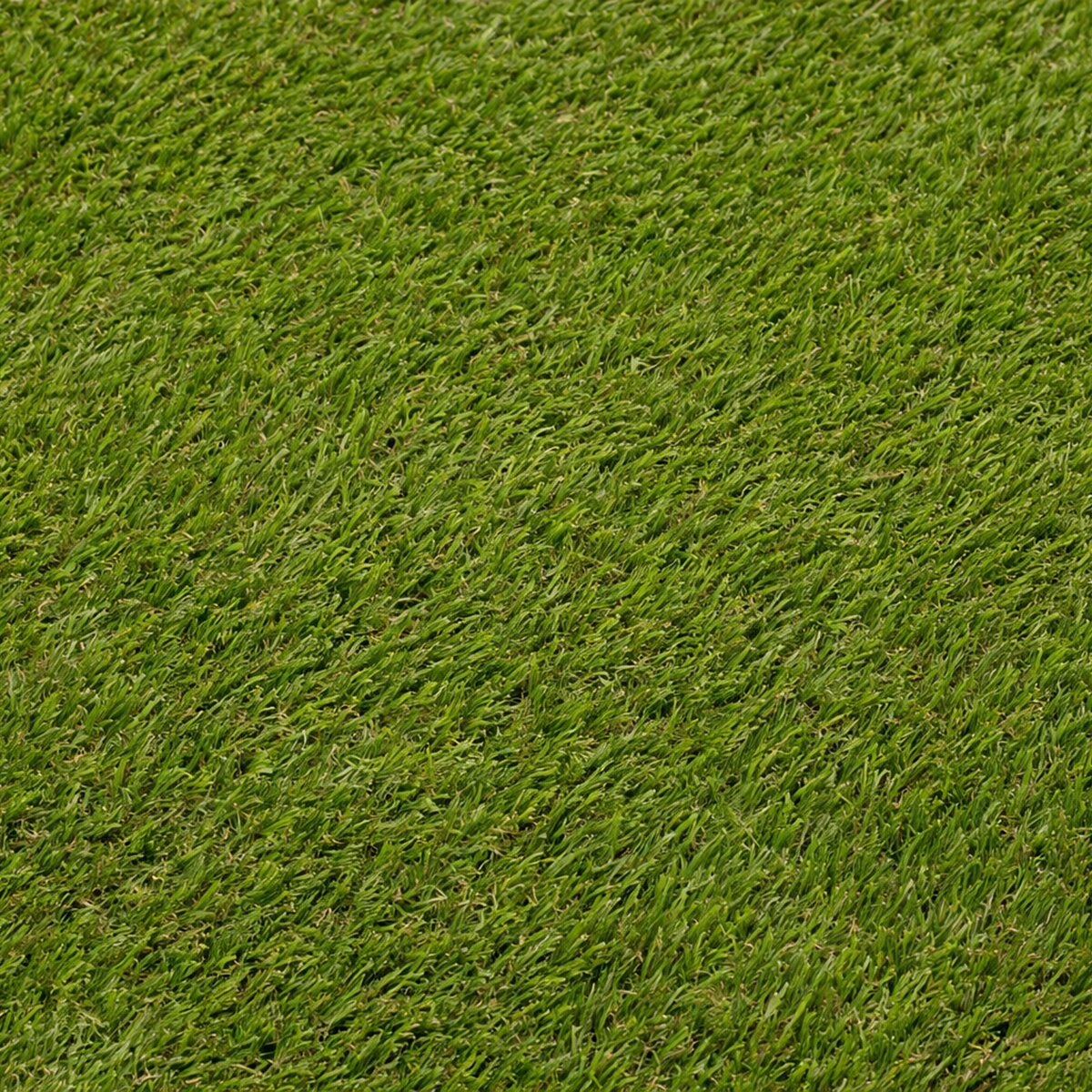 Césped artificial Bahamas 24mm rollo 2x5m, 6.000 Dtex, peso total 1.845g/m². Verde-2