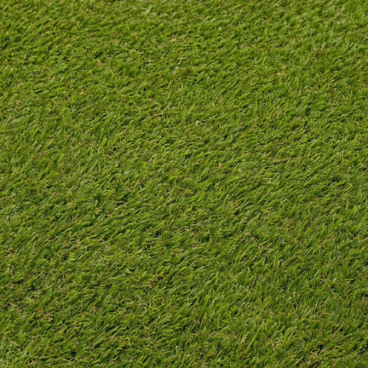 Césped artificial Bahamas 24mm rollo 1x20m, 6.000 Dtex, peso total 1.845g/m². Verde-2