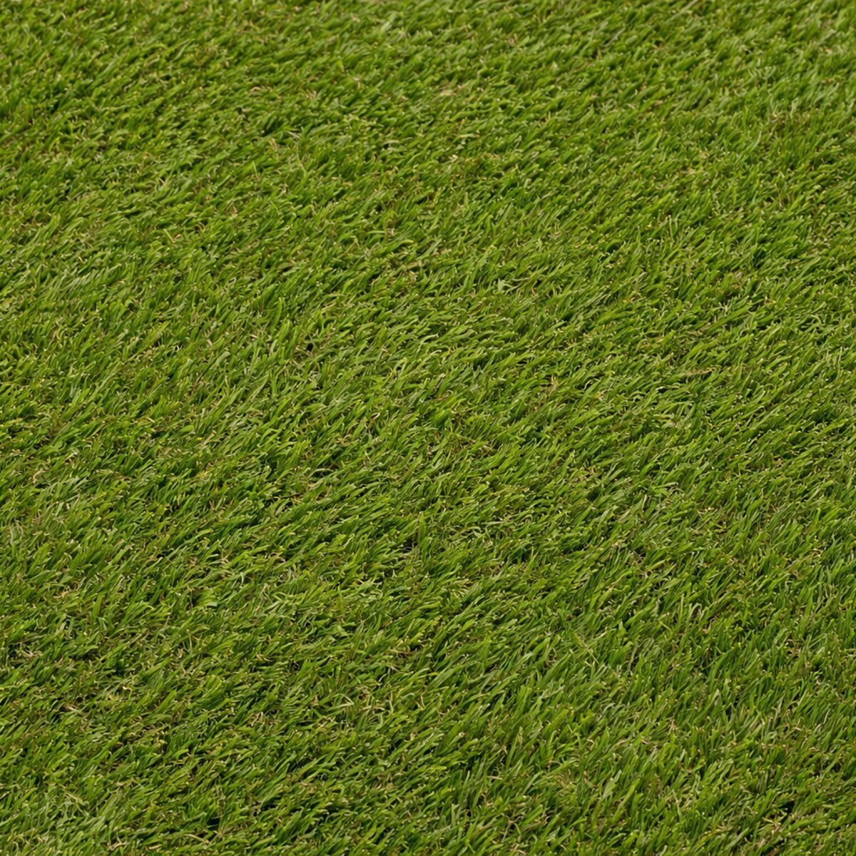Césped artificial Bahamas 24mm rollo 2x20m, 6.000 Dtex, peso total 1.845g/m². Verde-2
