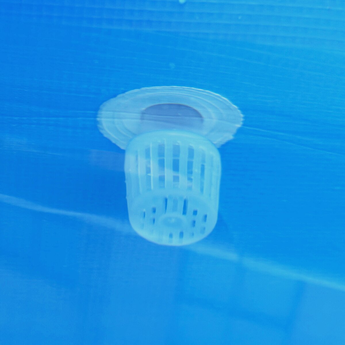 Piscina desmontable Avenli 300 cm x 76 cm con depuradora 1136 L/h. Capacidad 4383 L. Azul-8