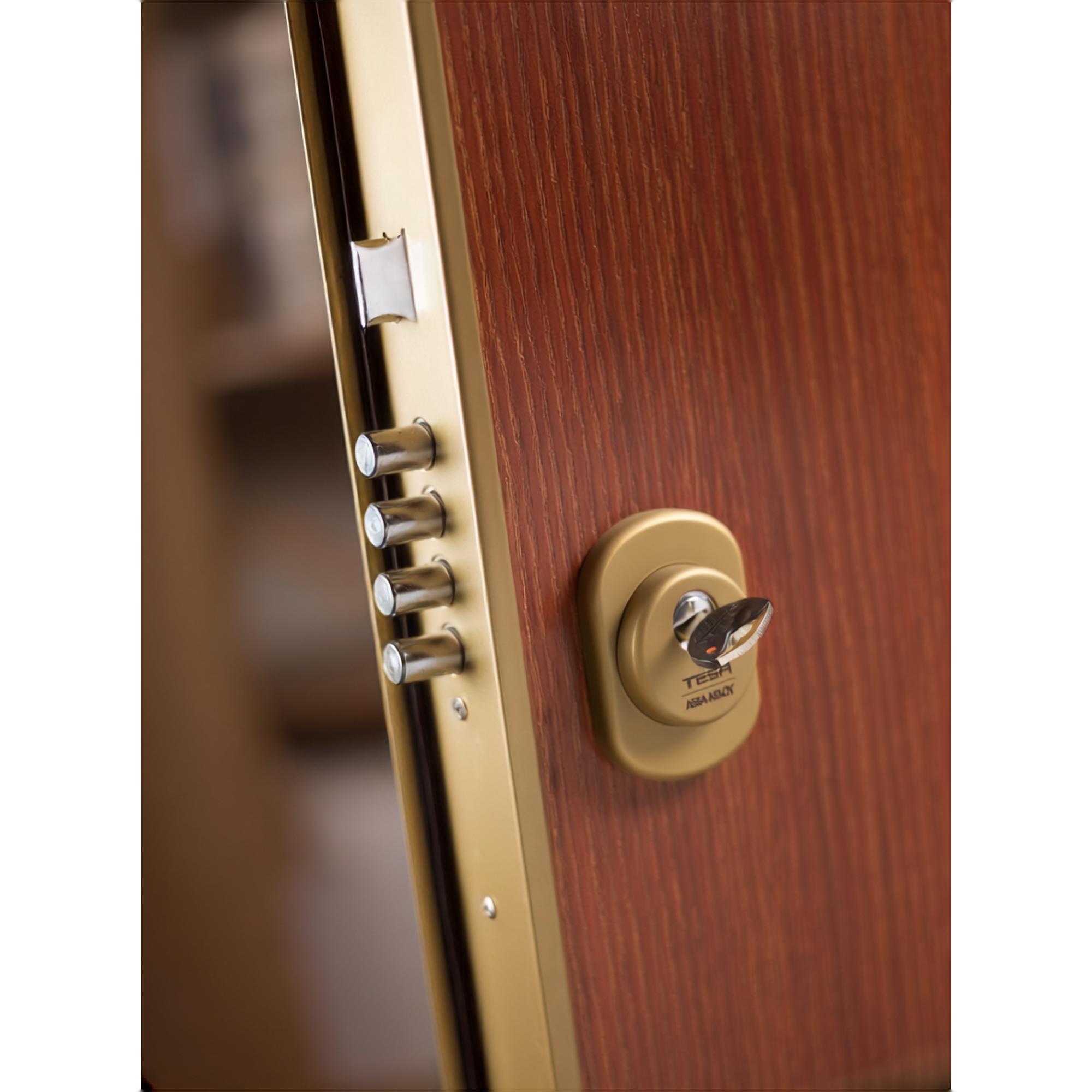 Puerta Acorazada Premium Tesa Sapelly Sapelly-4