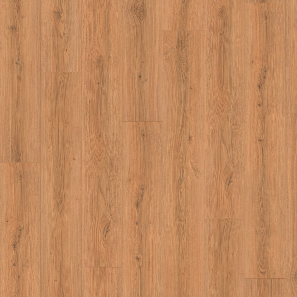 Imagen 0 de Suelo Laminado Classic Aqua+ 8/33 Roble Padua Miel EL2172 1,99 m²