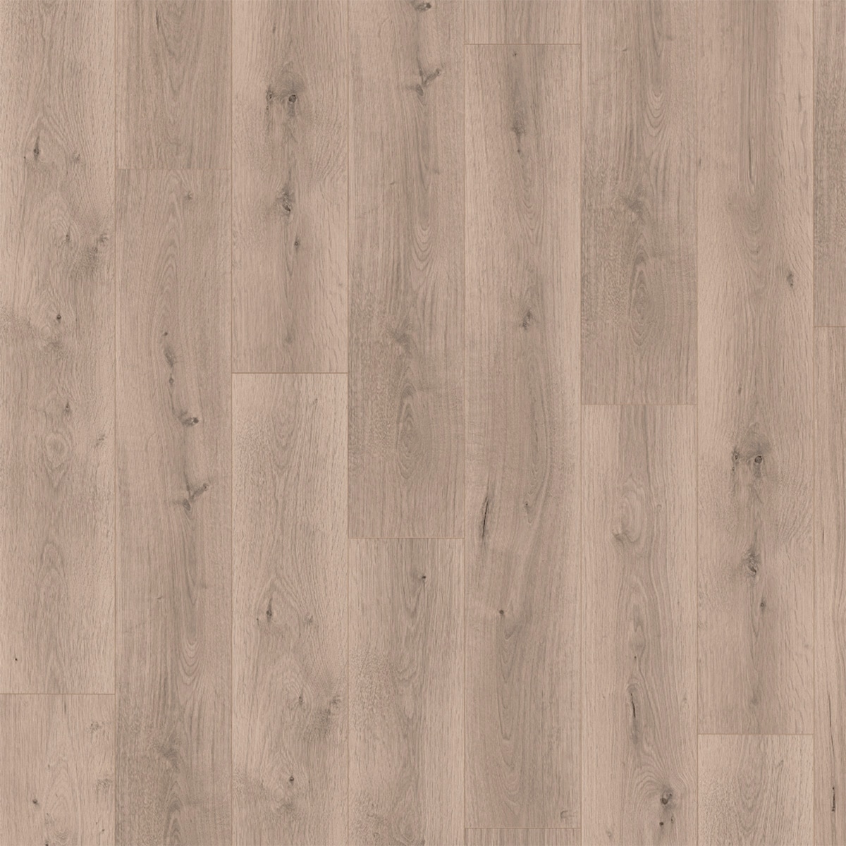 Imagen 0 de Suelo Laminado Classic Aquaclic 8/33 Roble Pinot Gris Claro EL2112 1,99 m²