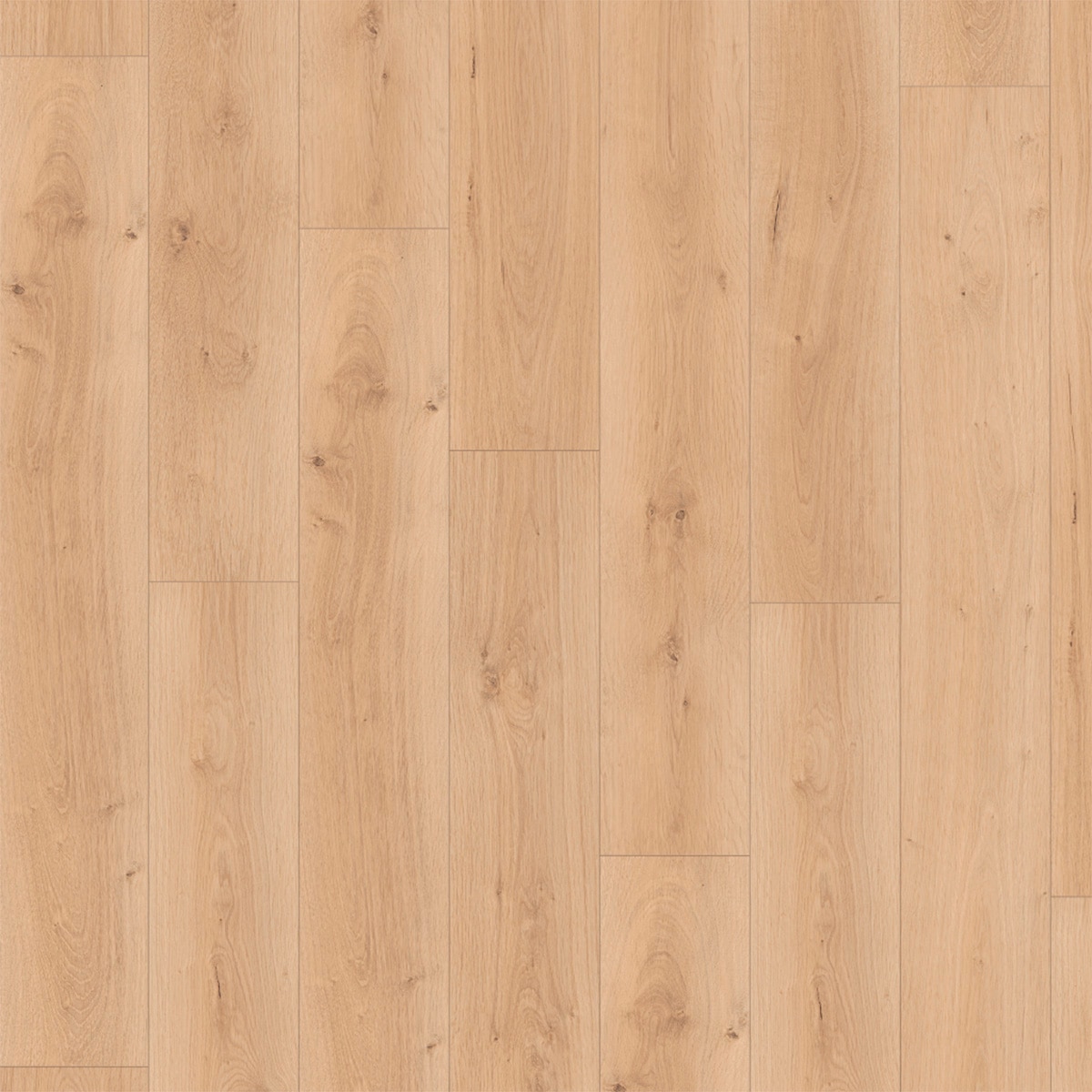 Imagen 0 de Suelo Laminado Classic Aquaclic 8/33 Roble Pinot Sand EL2113 1,99 m²