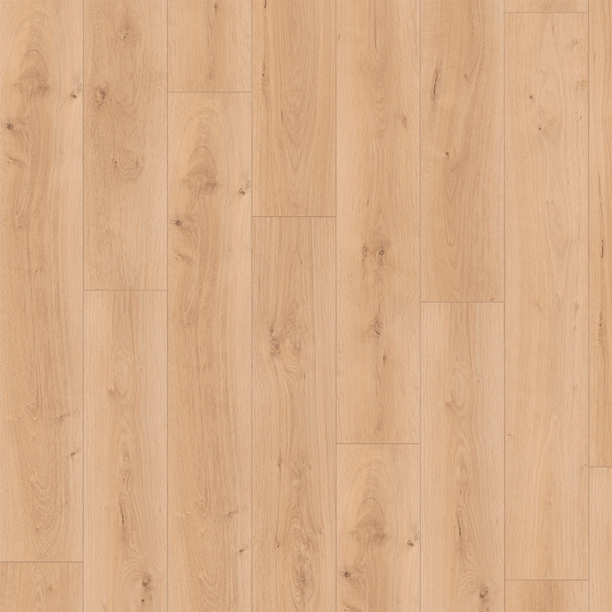 Suelo Laminado Classic Egger Pro Roble Pinnot Sand 8/32 PL2113 1,99 m² Roble Pinot Sand-1