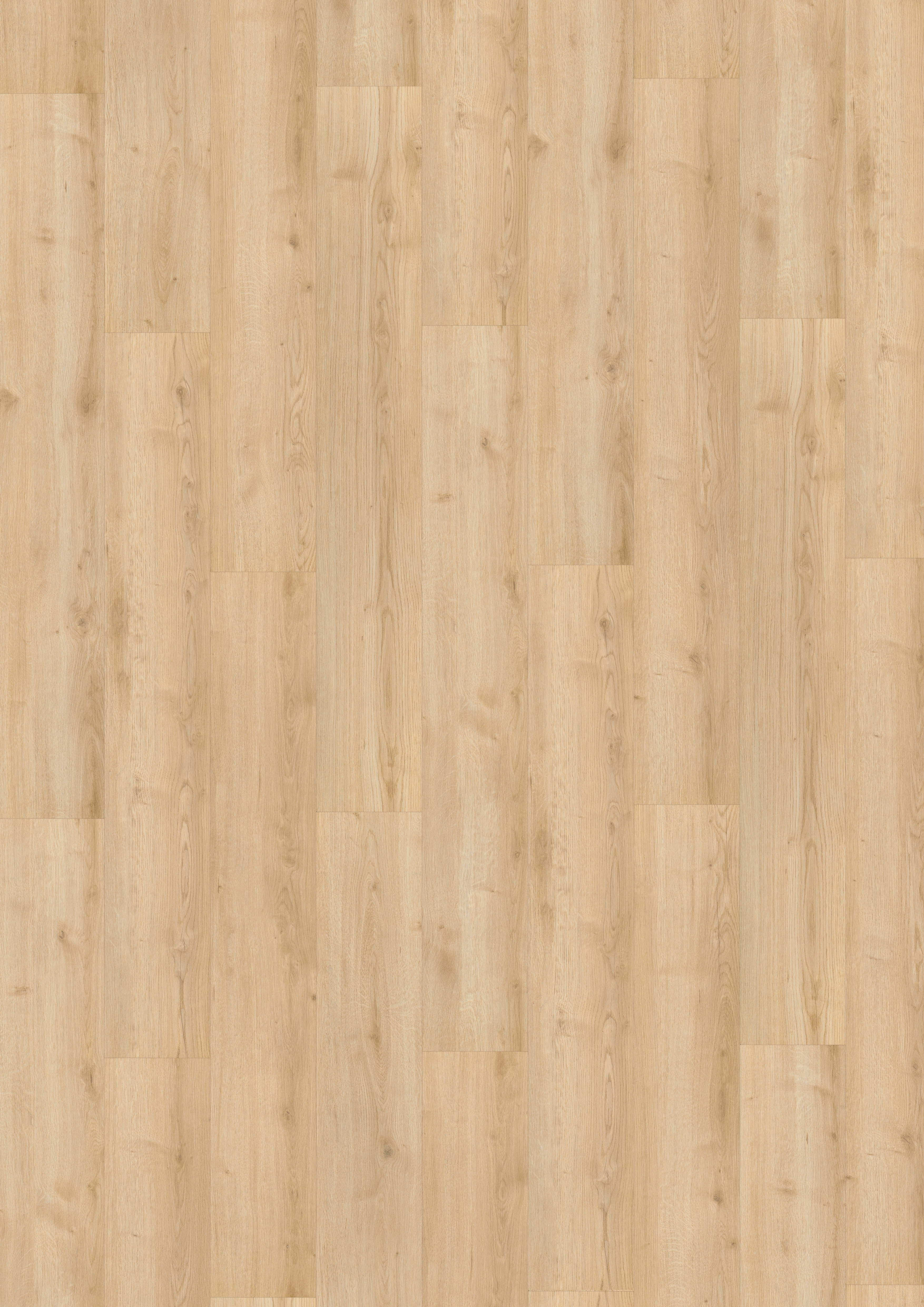 Finfloor Original ECO AC5/33 Roble Sonata sin bisel Roble sonata-2