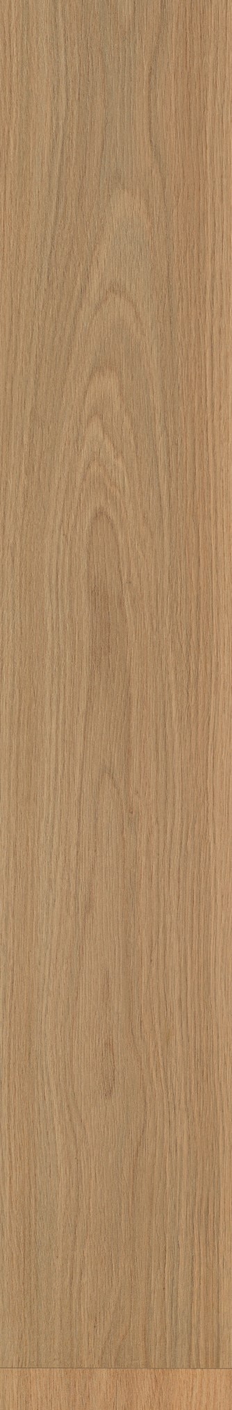 Finfloor Original ECO AC5/33 Roble Crescendo sin bisel Roble Crescendo-3