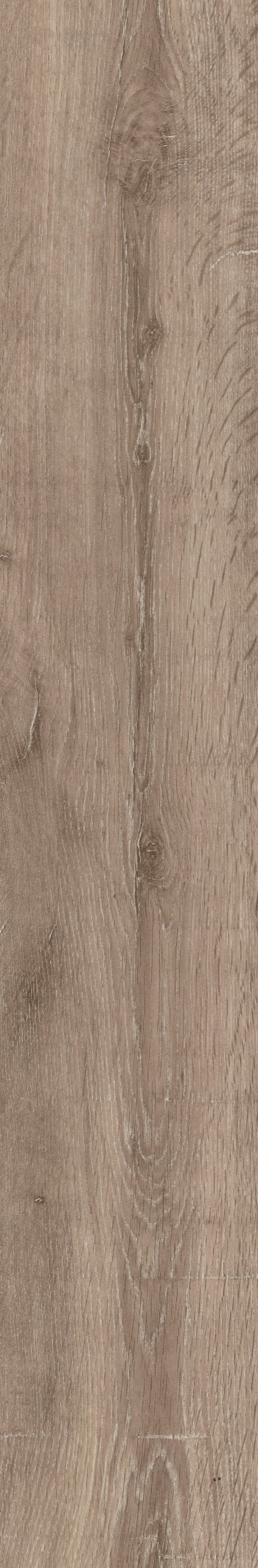 Finfloor Original ECO AC5/33 Roble Banff sin bisel Roble Banff-3