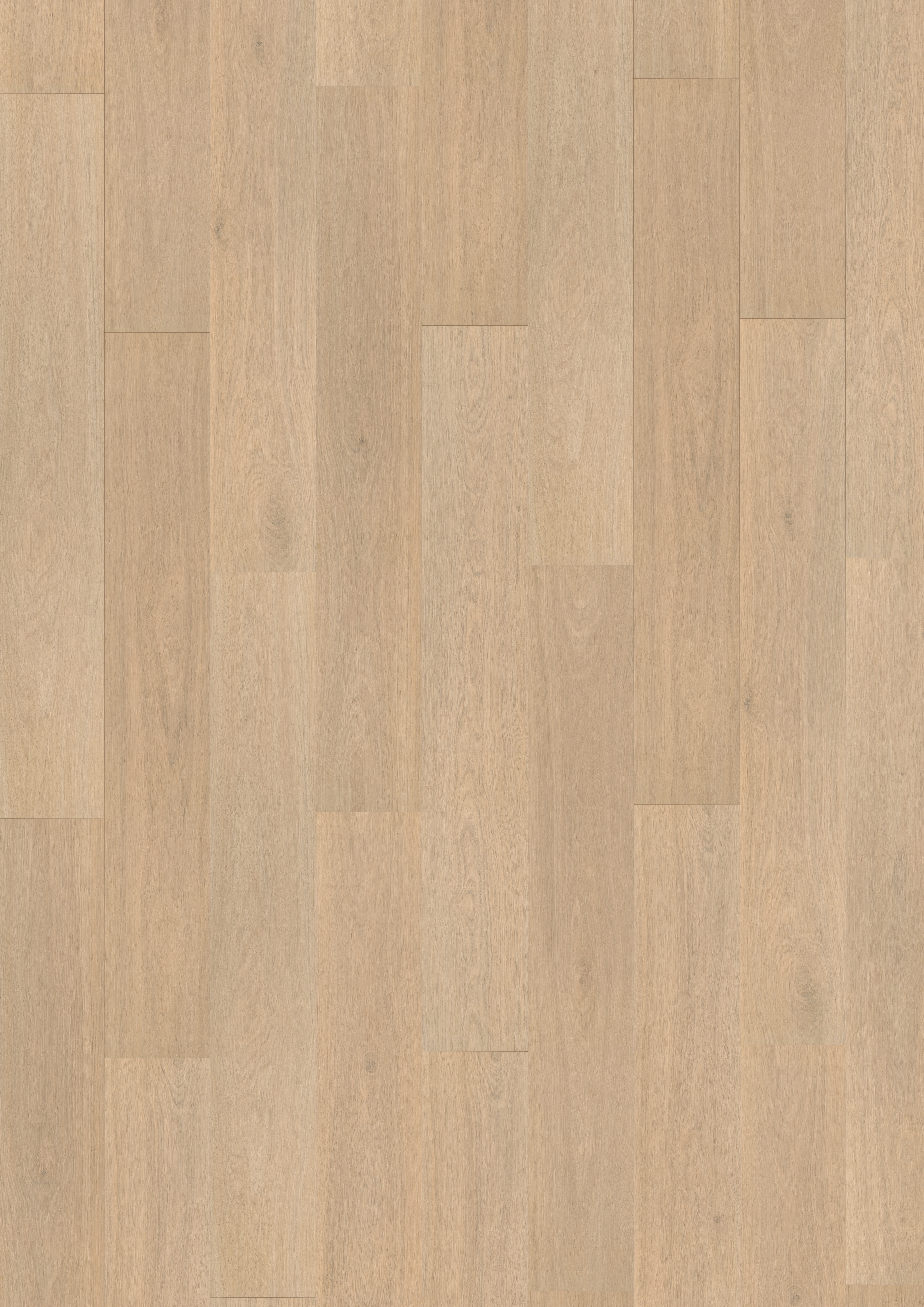 Finfloor Original ECO AC5/33 Roble Magari sin bisel Roble Magari-4