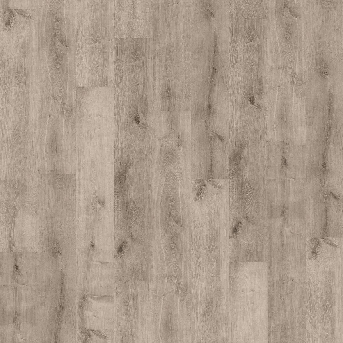 Imagen 0 de Finfloor Original ECO AC5/33 Roble Taupe sin bisel