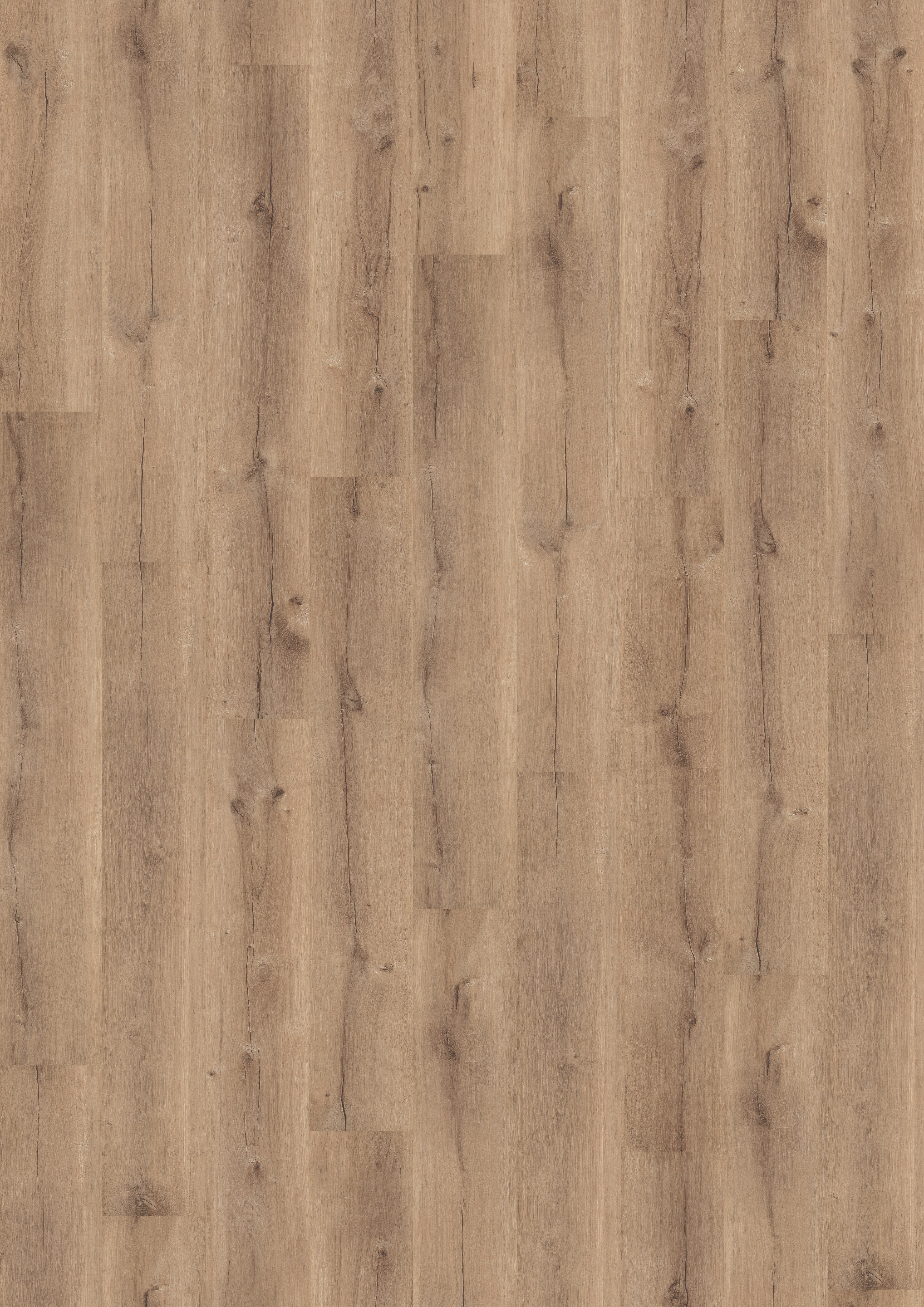 Finfloor Original ECO AC5/33 Roble Obelisque sin bisel Roble Obelisque-4