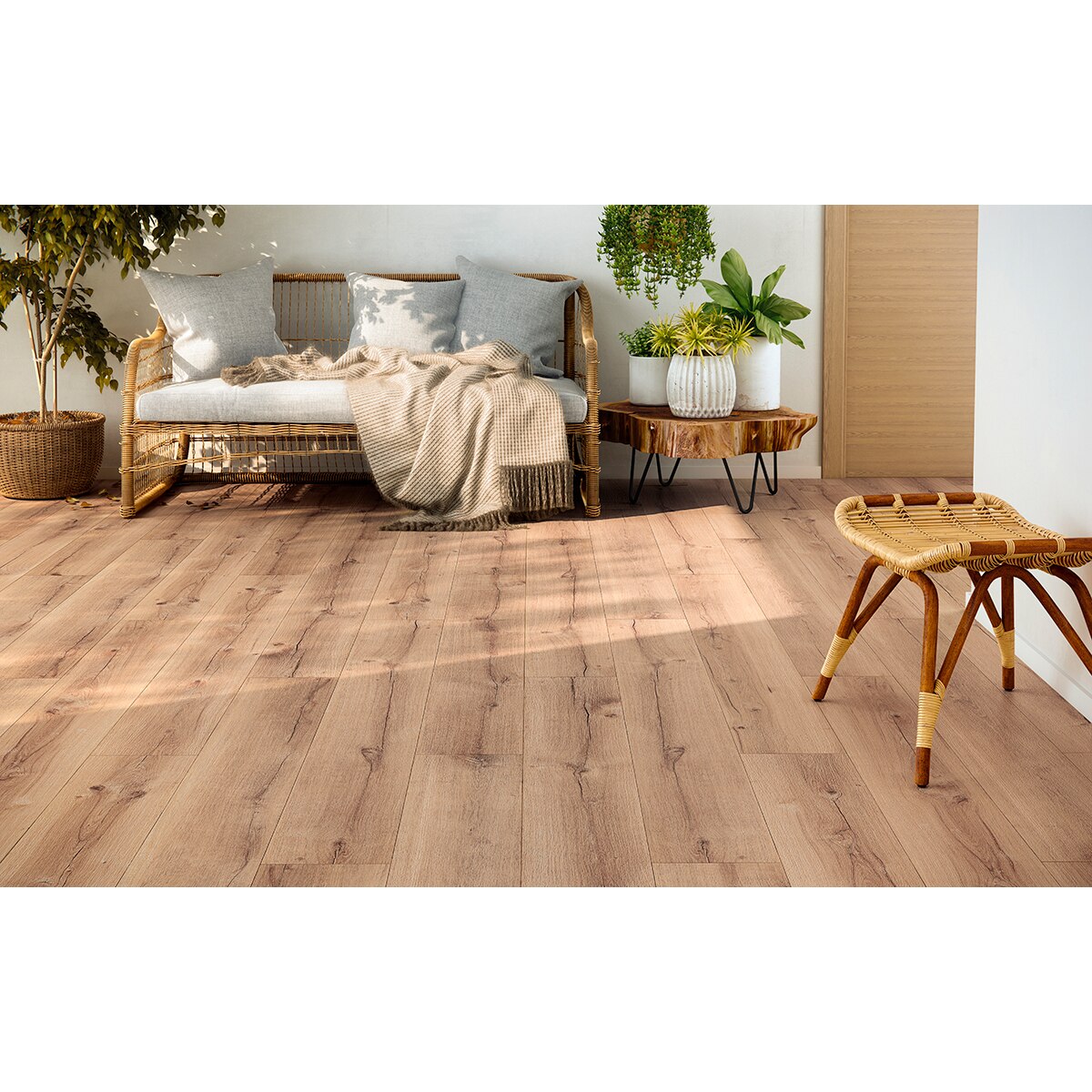 Finfloor Original ECO AC5/33 Roble Obelisque sin bisel Roble Obelisque-6