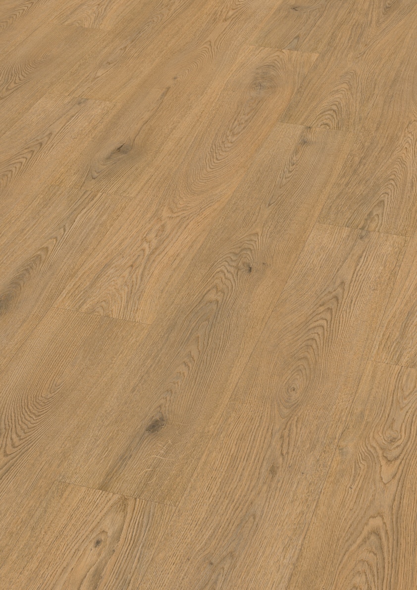 Finfloor Evolve Durable AC6/33 Roble  Fado Tavira Roble Fado Tavira-2
