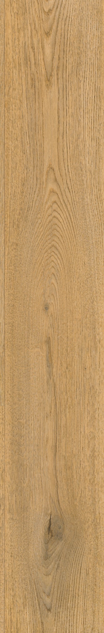Finfloor Evolve Durable AC6/33 Roble  Fado Tavira Roble Fado Tavira-3