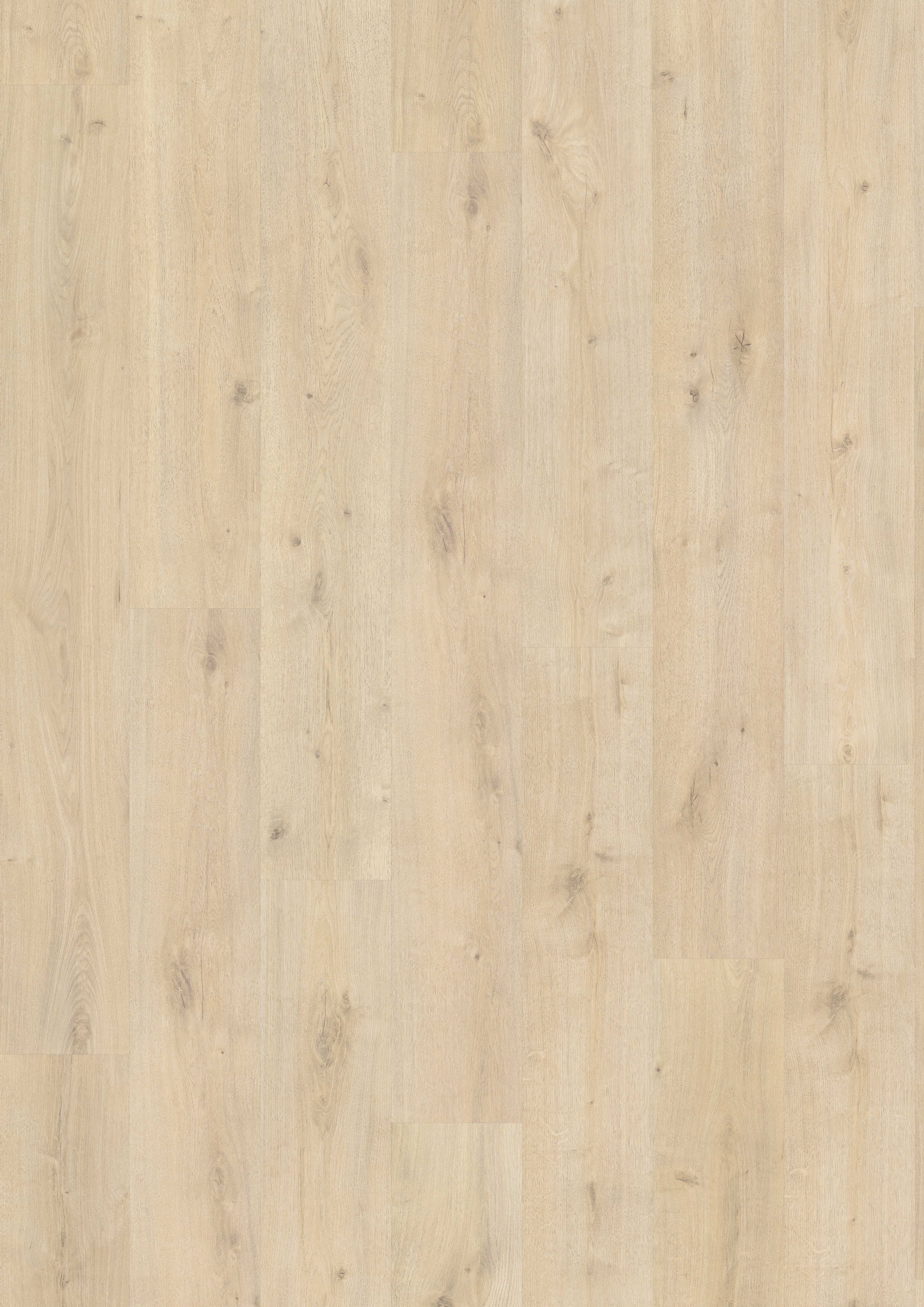 Finfloor XL Durable AC6/33 Roble Vera Claridad Roble Vera Claridad-4